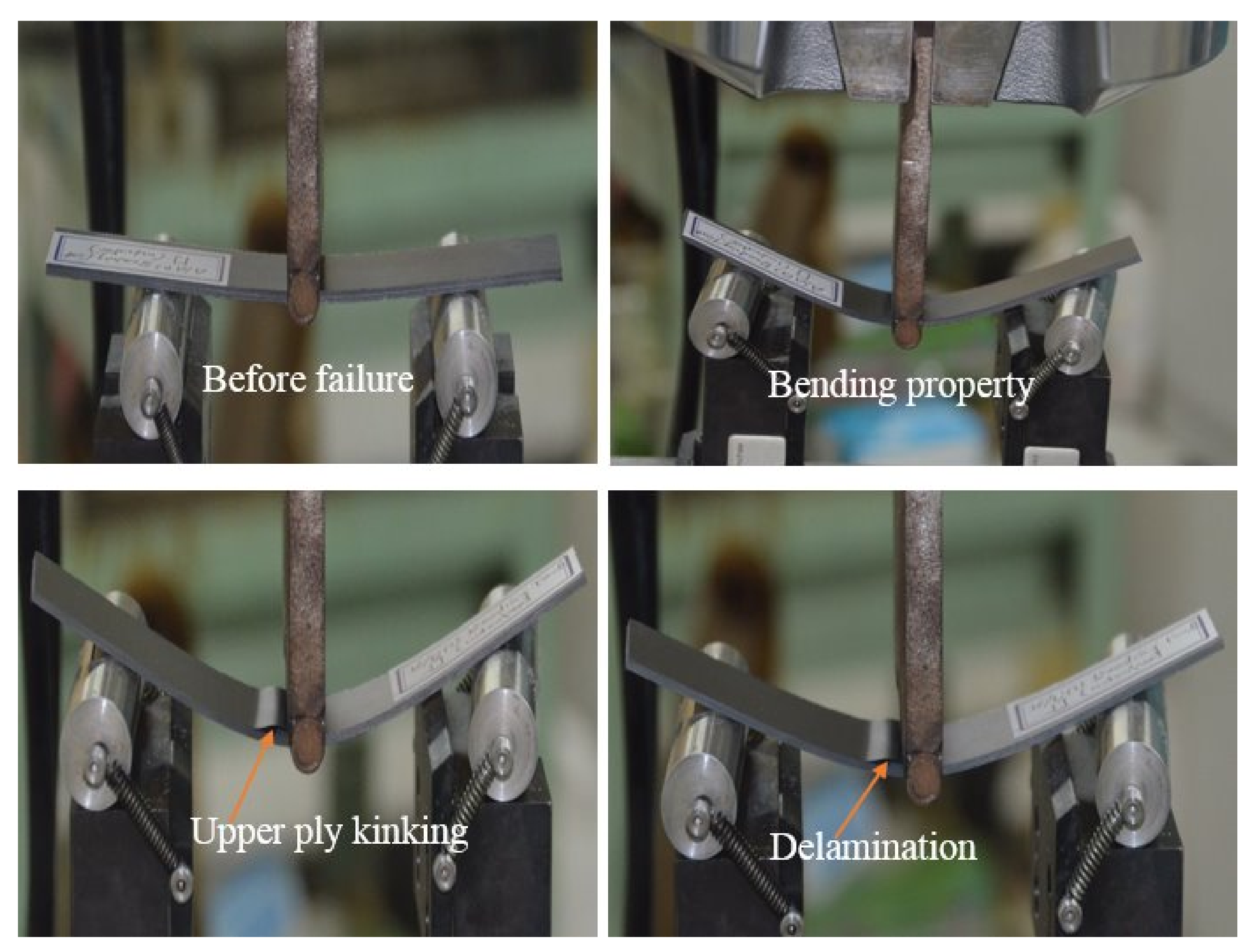 Polymers 13 03404 g006