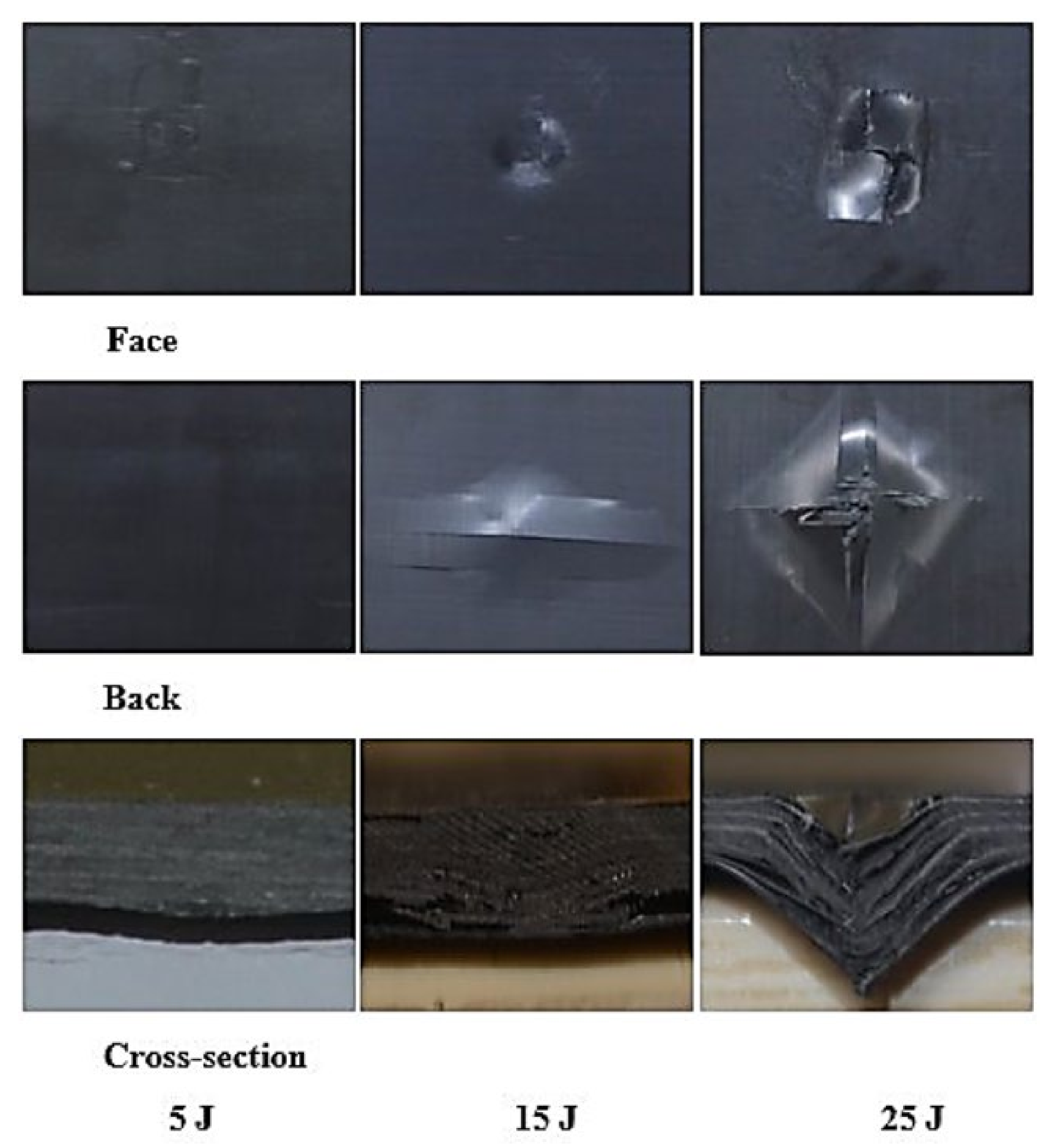 Polymers 13 03404 g011