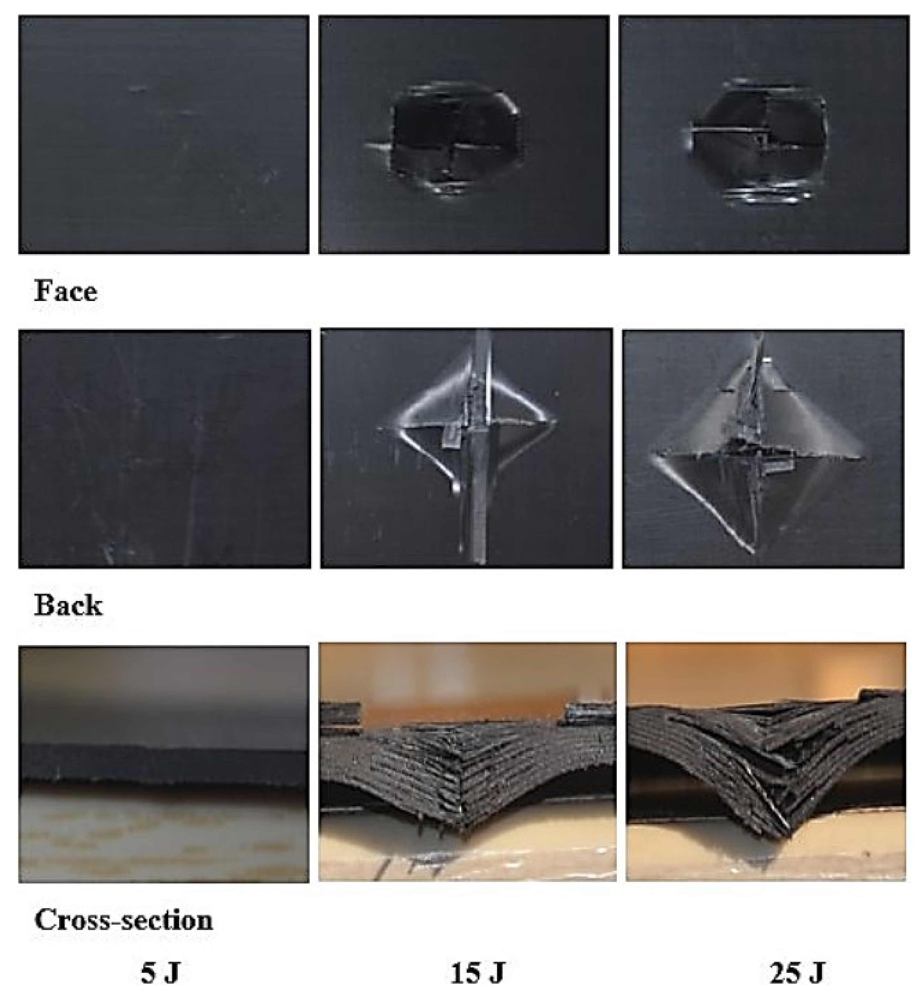 Polymers 13 03404 g012