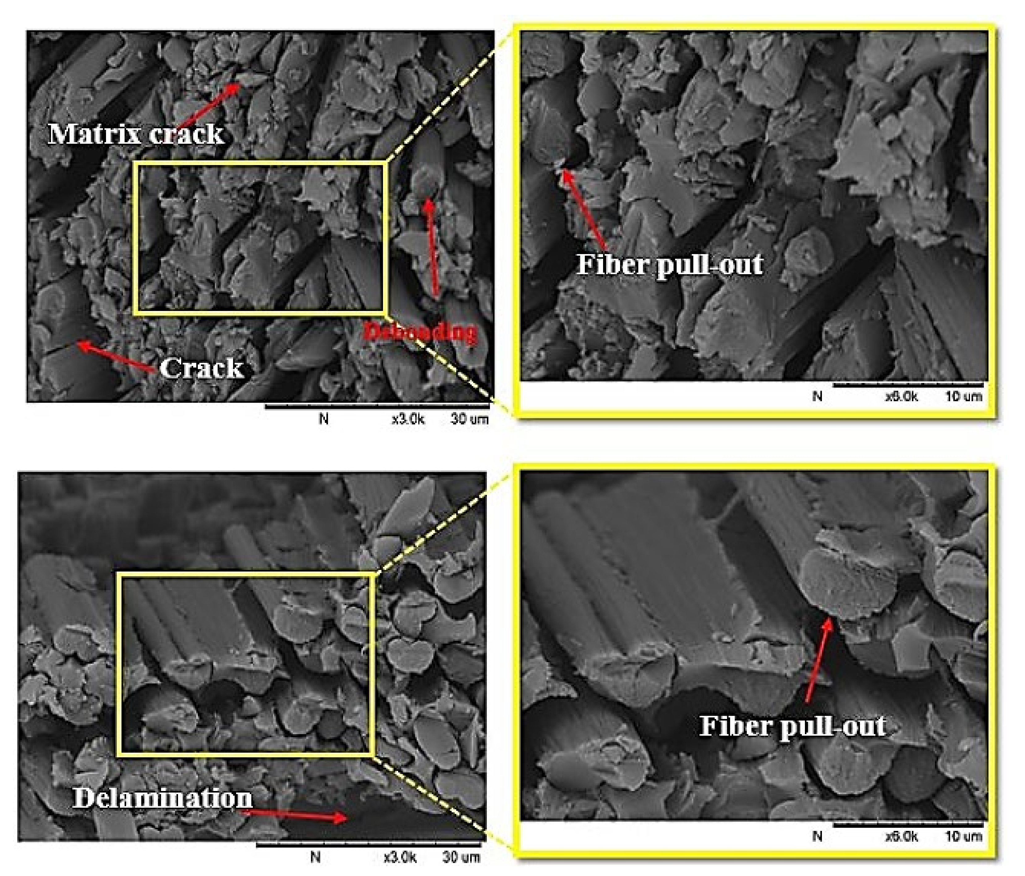 Polymers 13 03404 g014