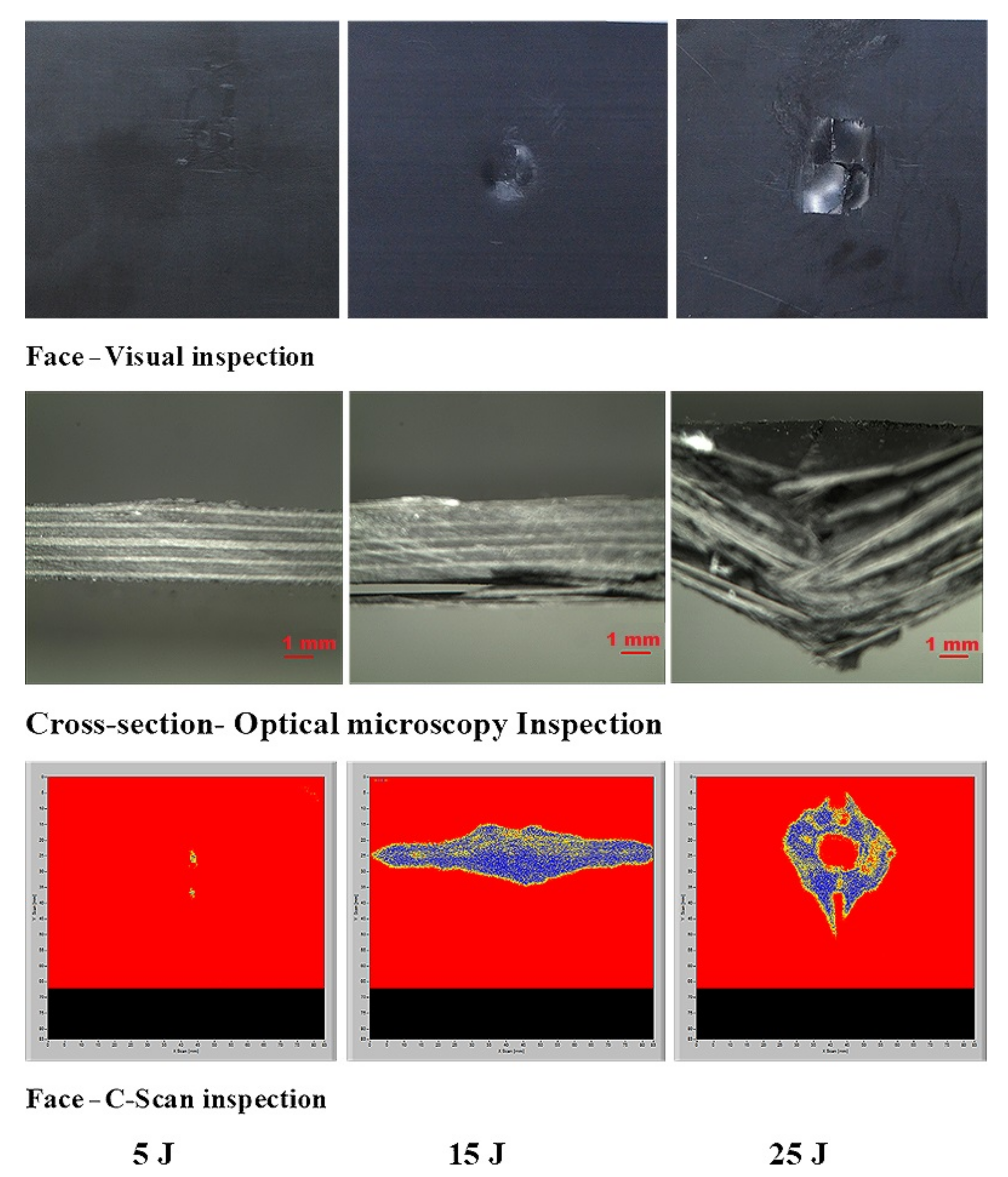 Polymers 13 03404 g016
