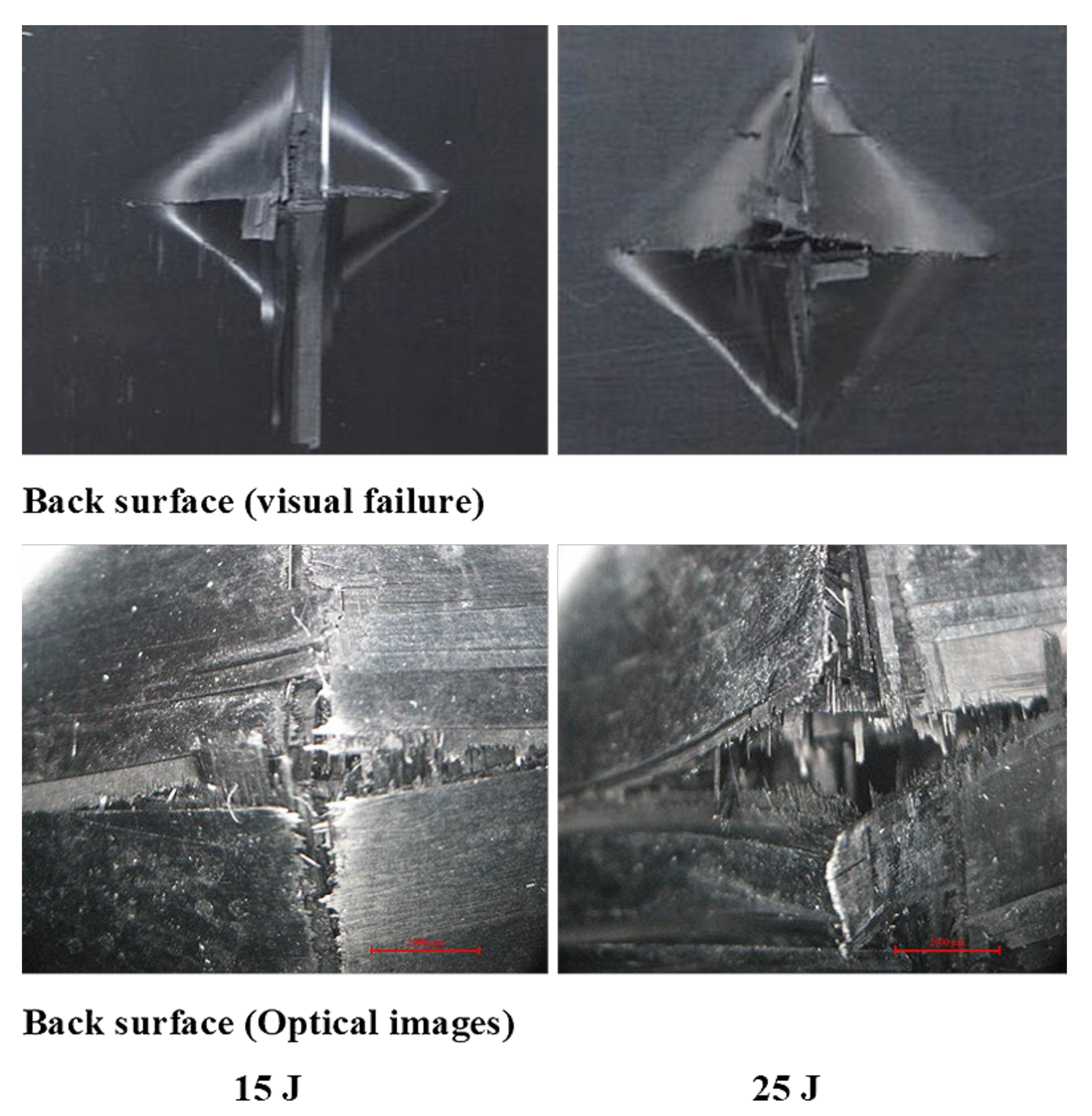 Polymers 13 03404 g019