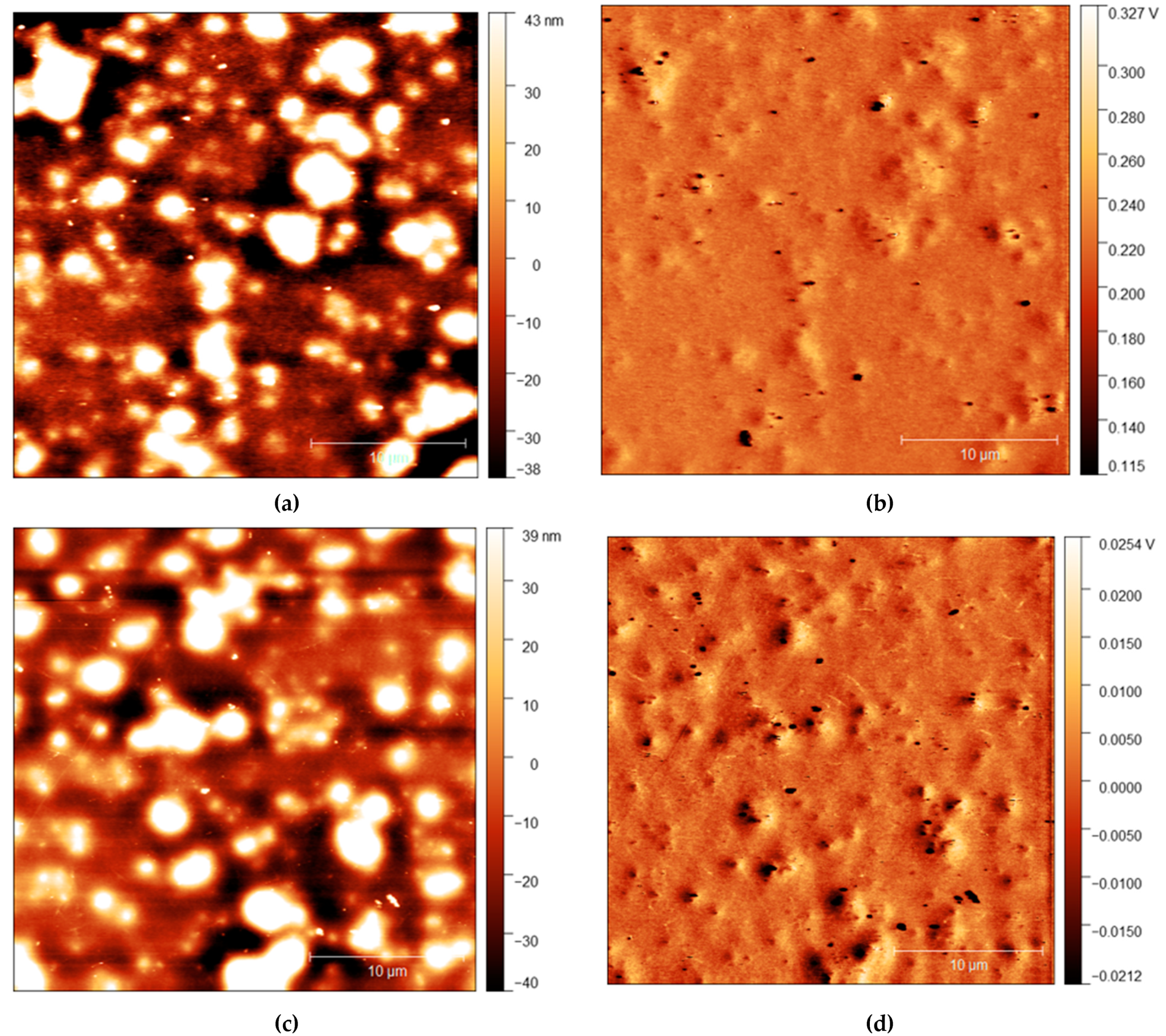 Polymers 13 03407 g004
