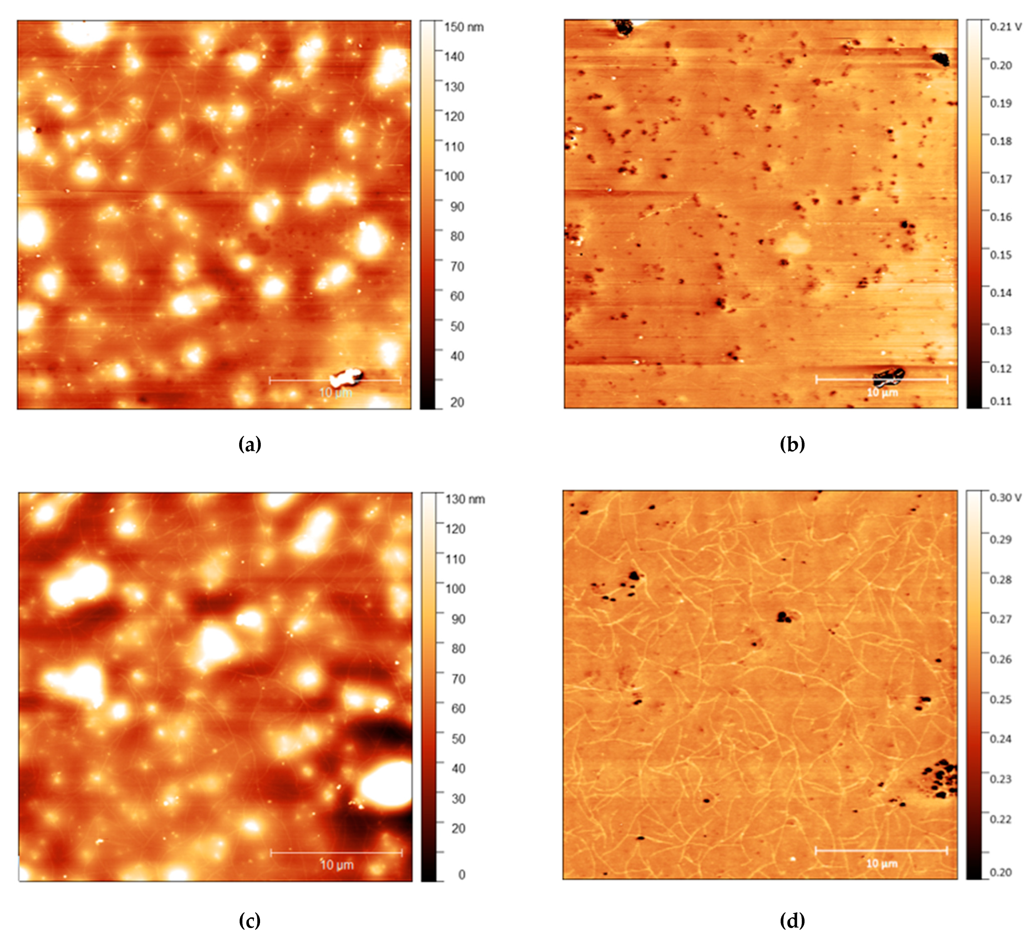 Polymers 13 03407 g006
