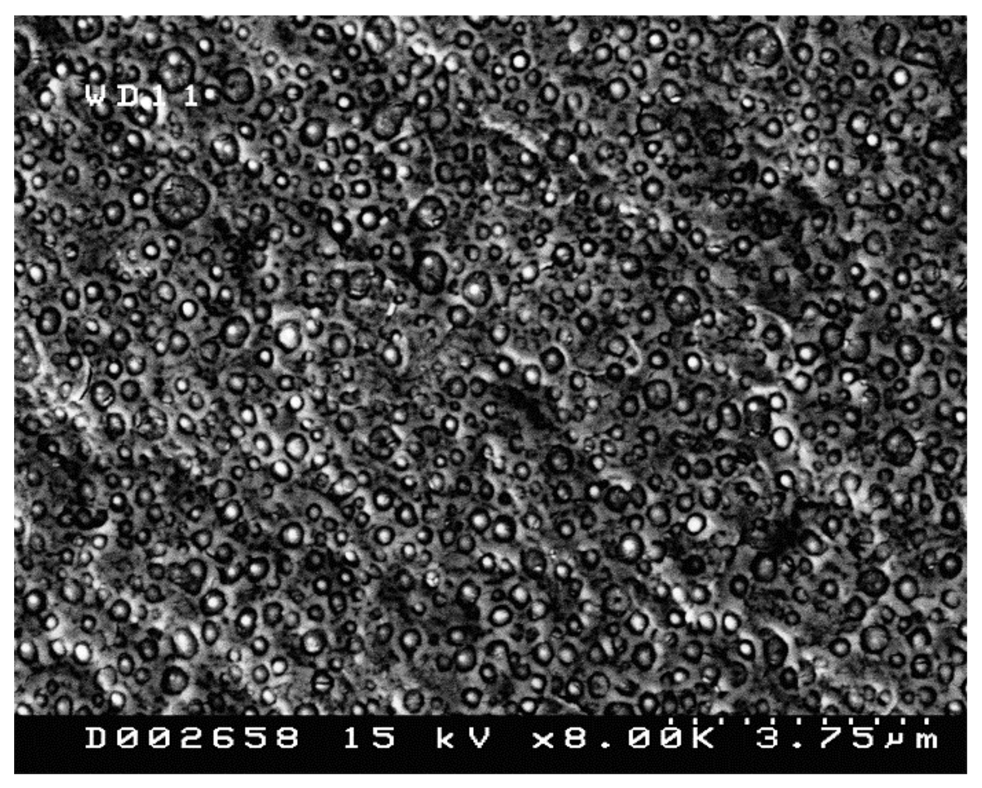 Polymers 13 03420 g003 Polymers 13 03420 g003