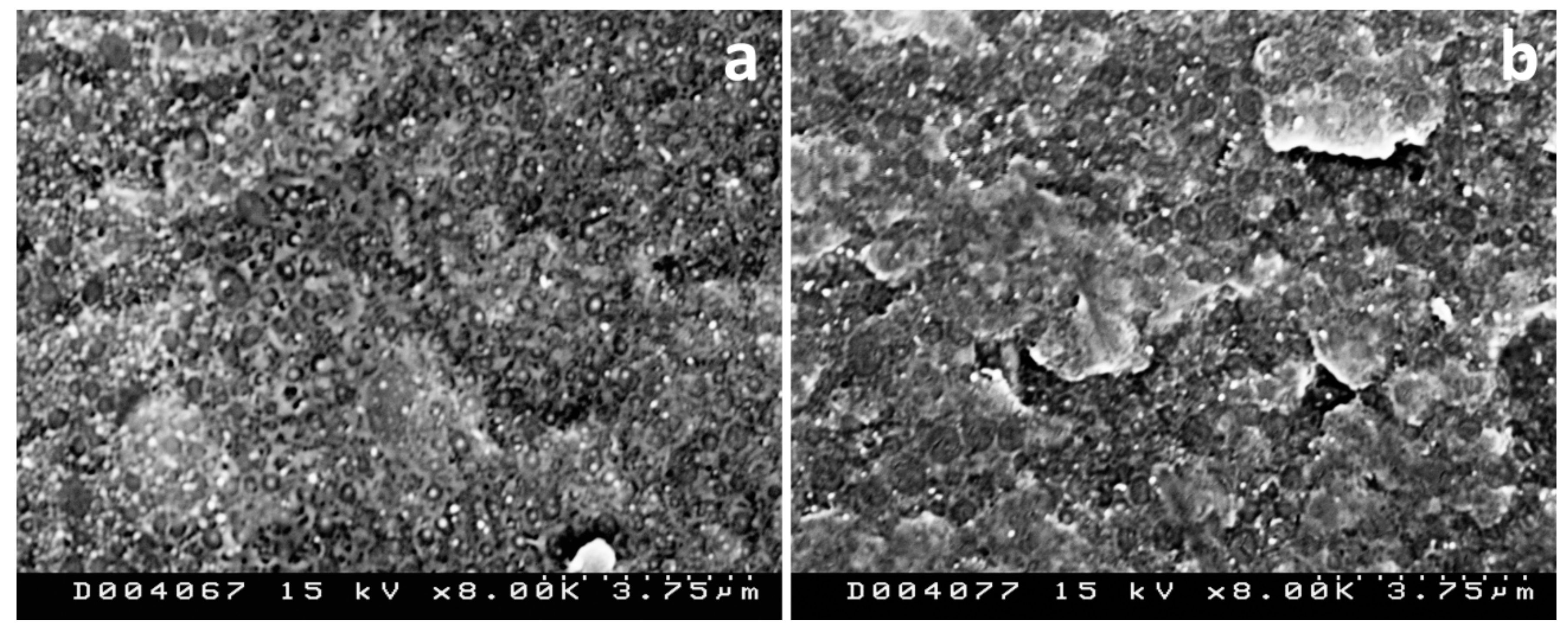 Polymers 13 03420 g006 Polymers 13 03420 g006