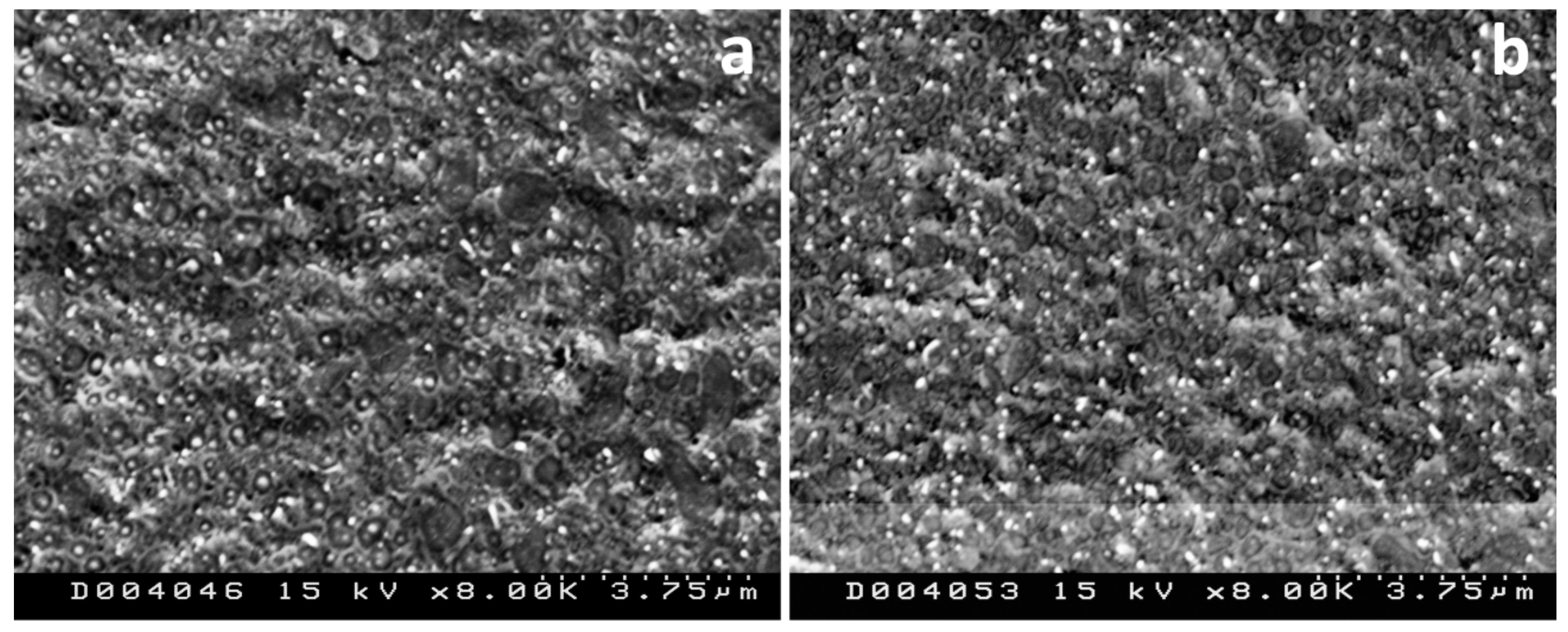 Polymers 13 03420 g007 Polymers 13 03420 g007