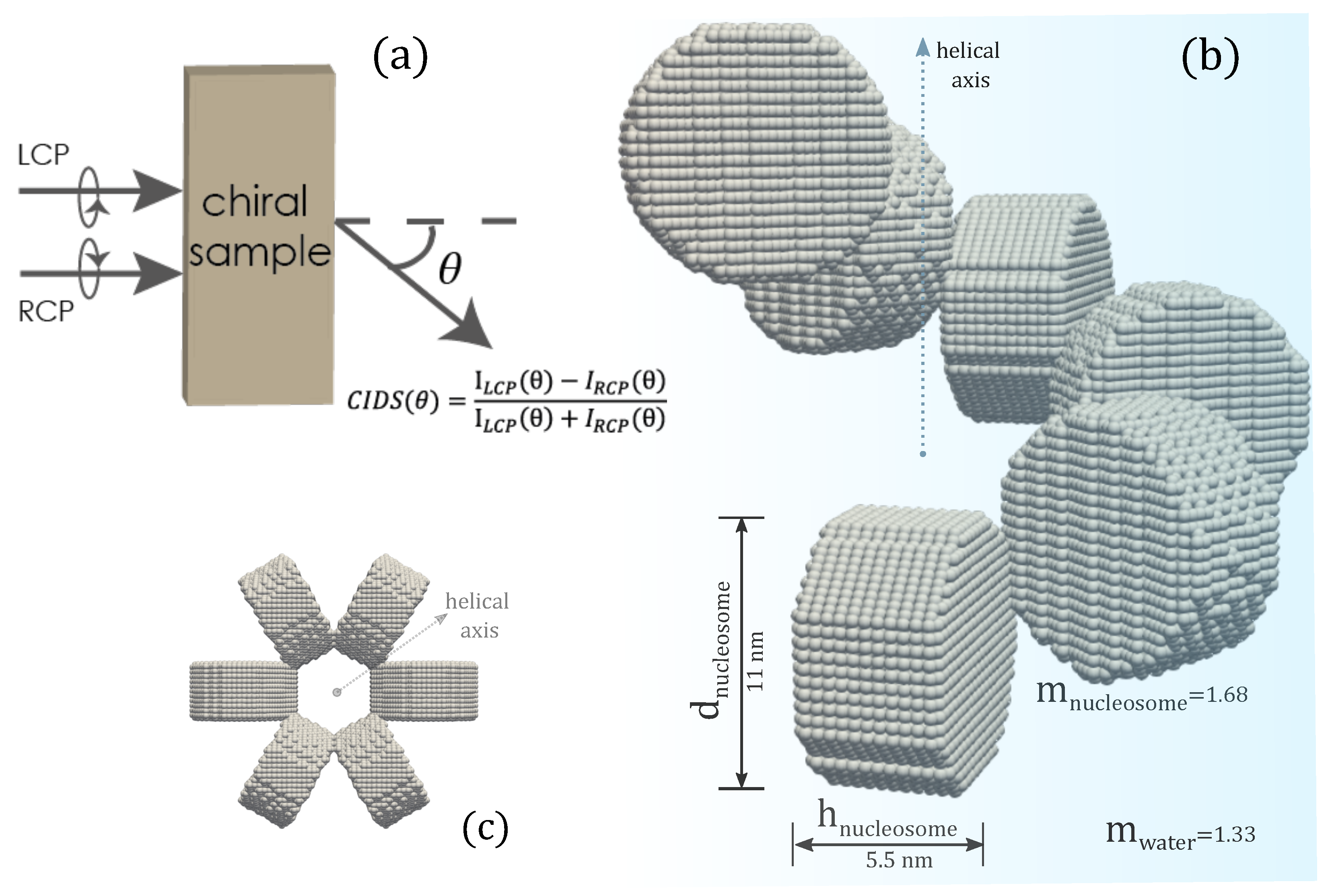 Polymers 13 03422 g001