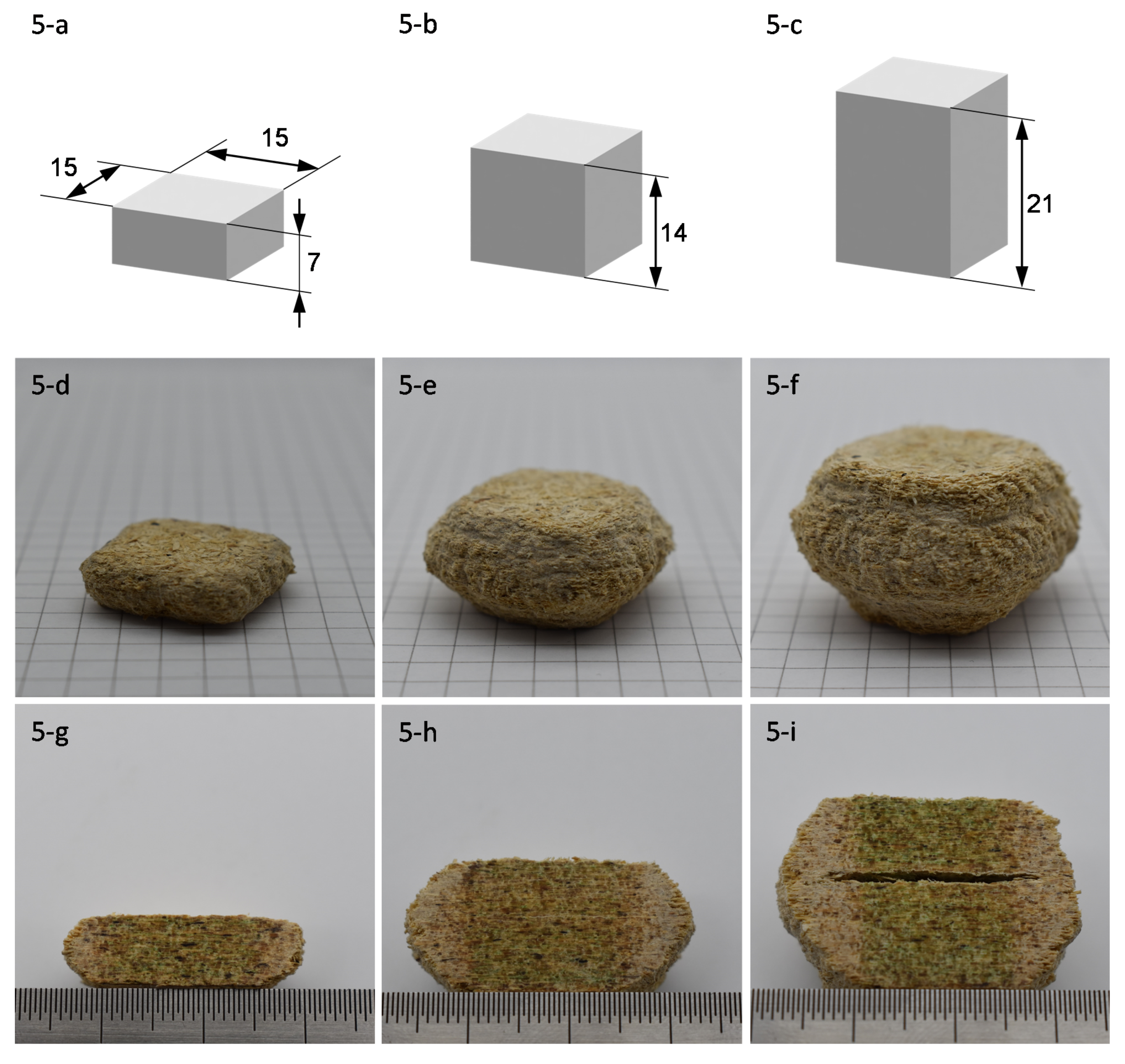 Polymers 13 03423 g005