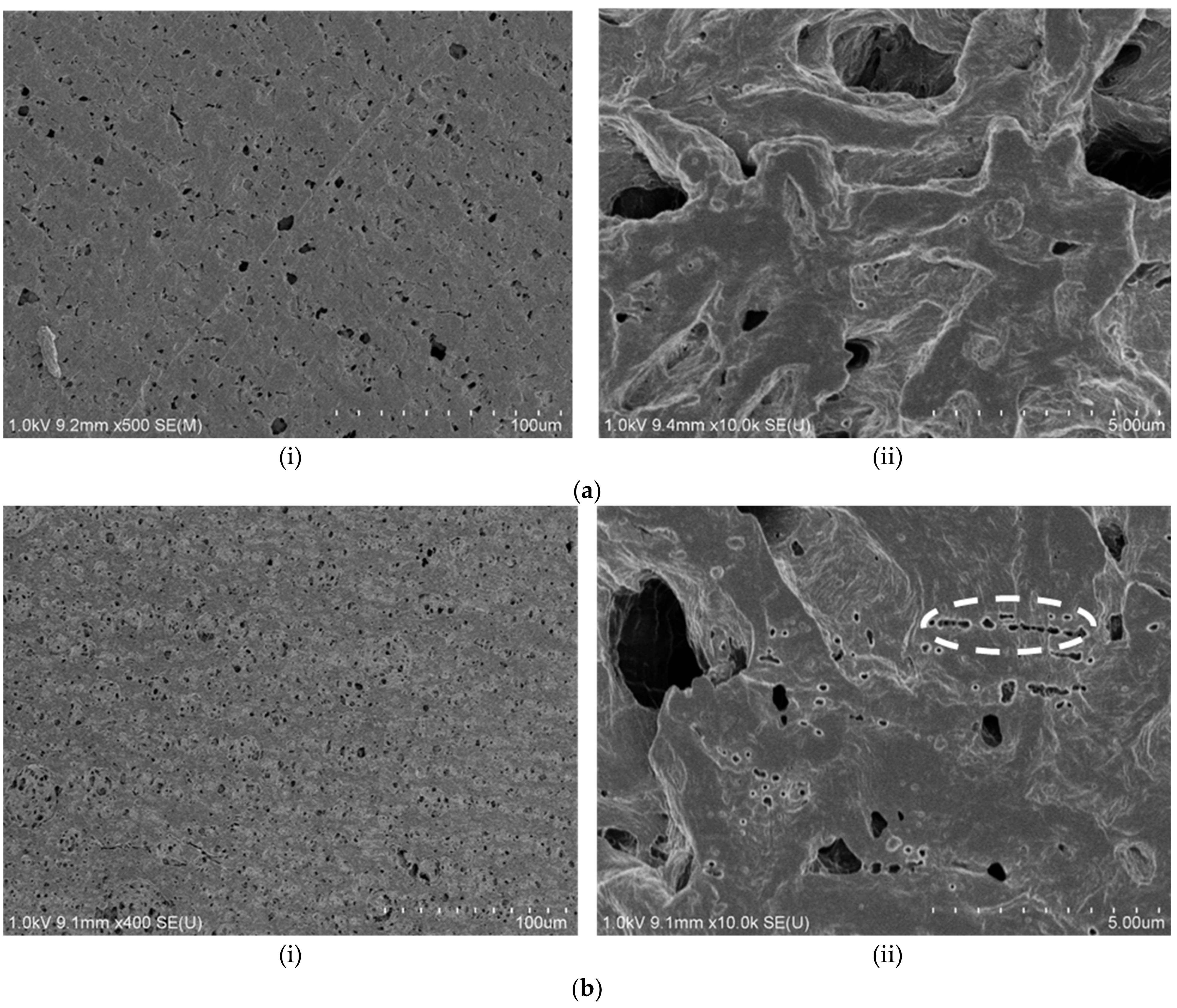 Polymers 13 03425 g006 Polymers 13 03425 g006
