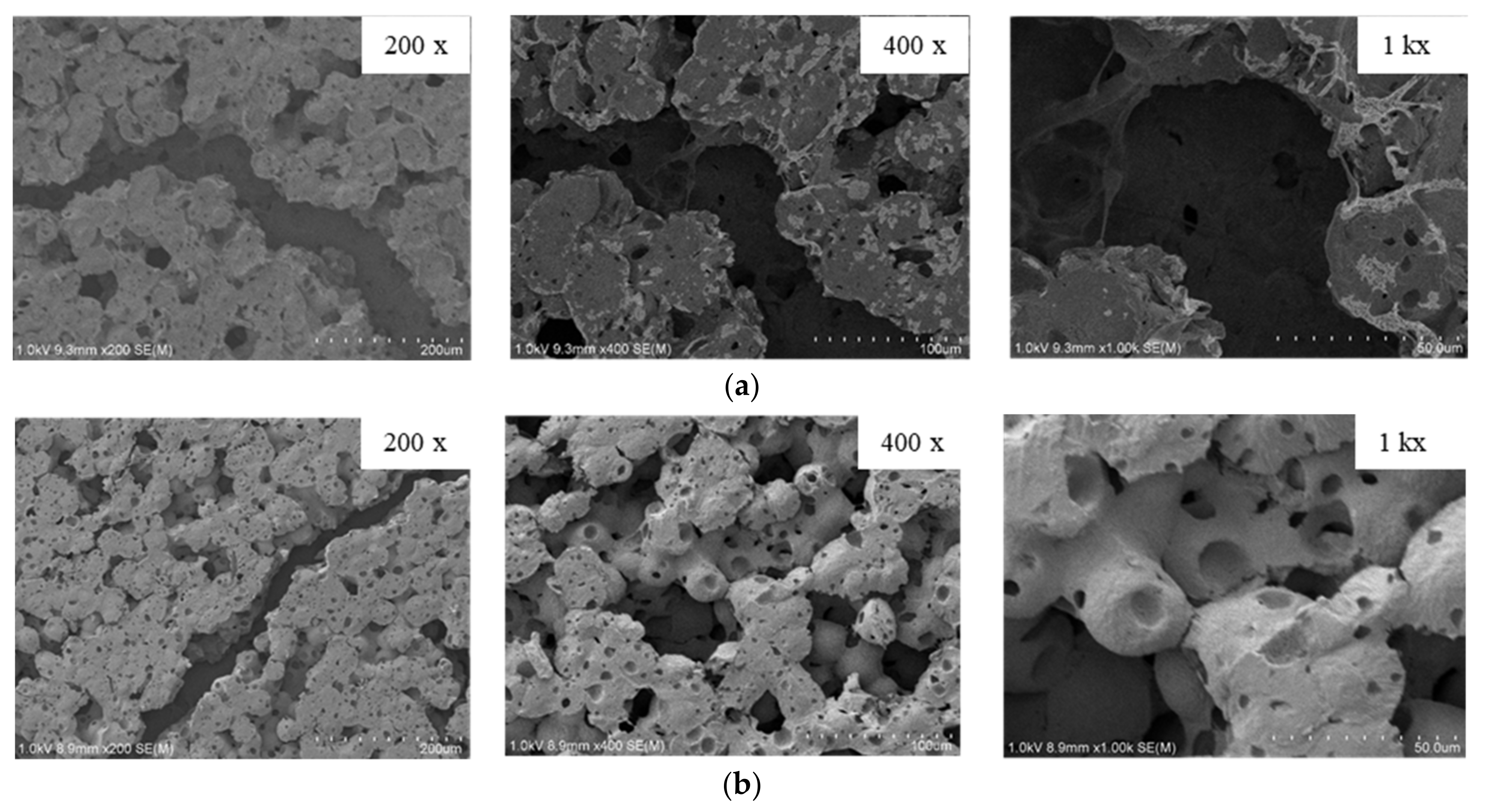 Polymers 13 03425 g009 Polymers 13 03425 g009