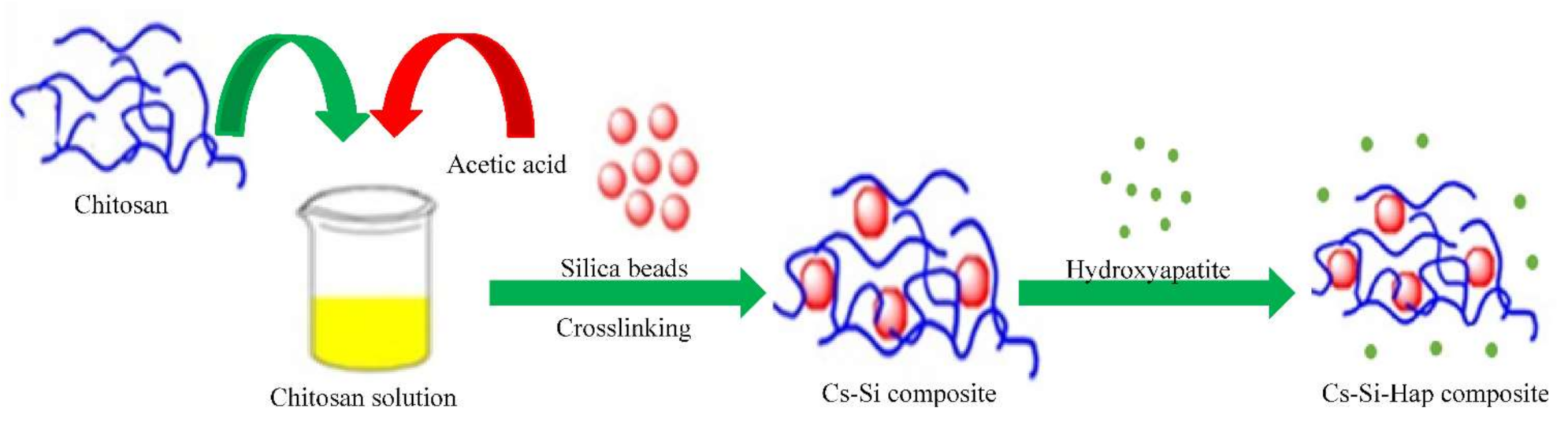 Polymers 13 03427 g001