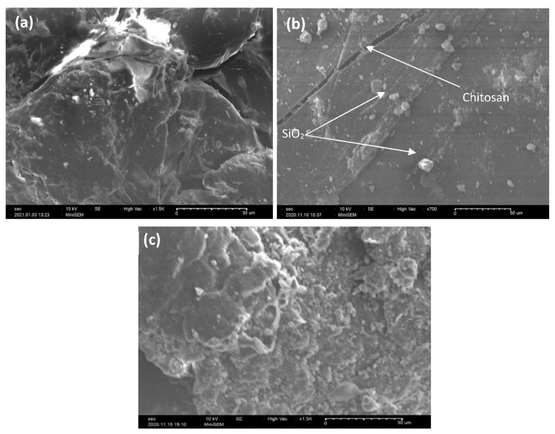 Polymers 13 03427 g003