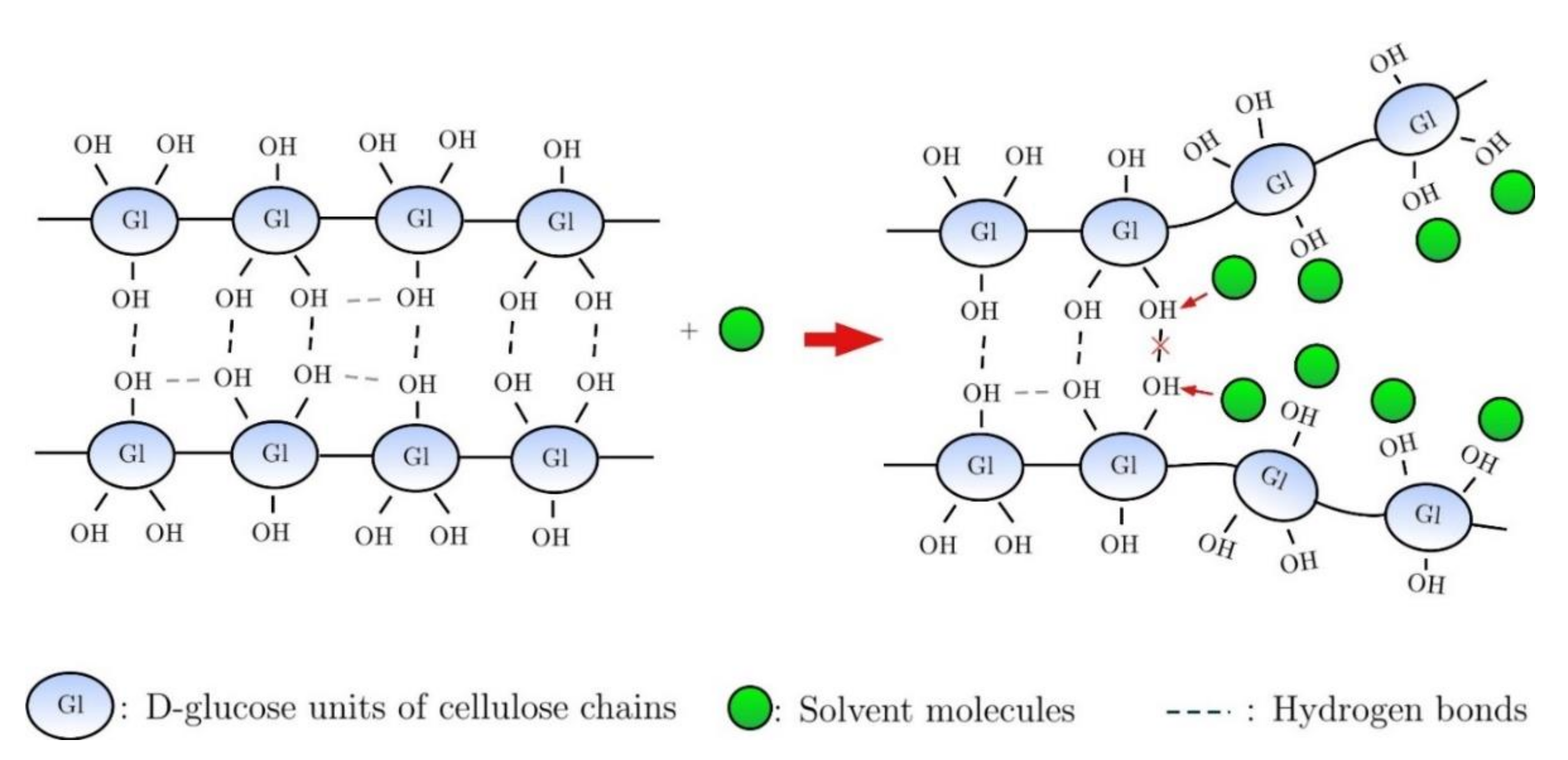 Polymers 13 03433 g002