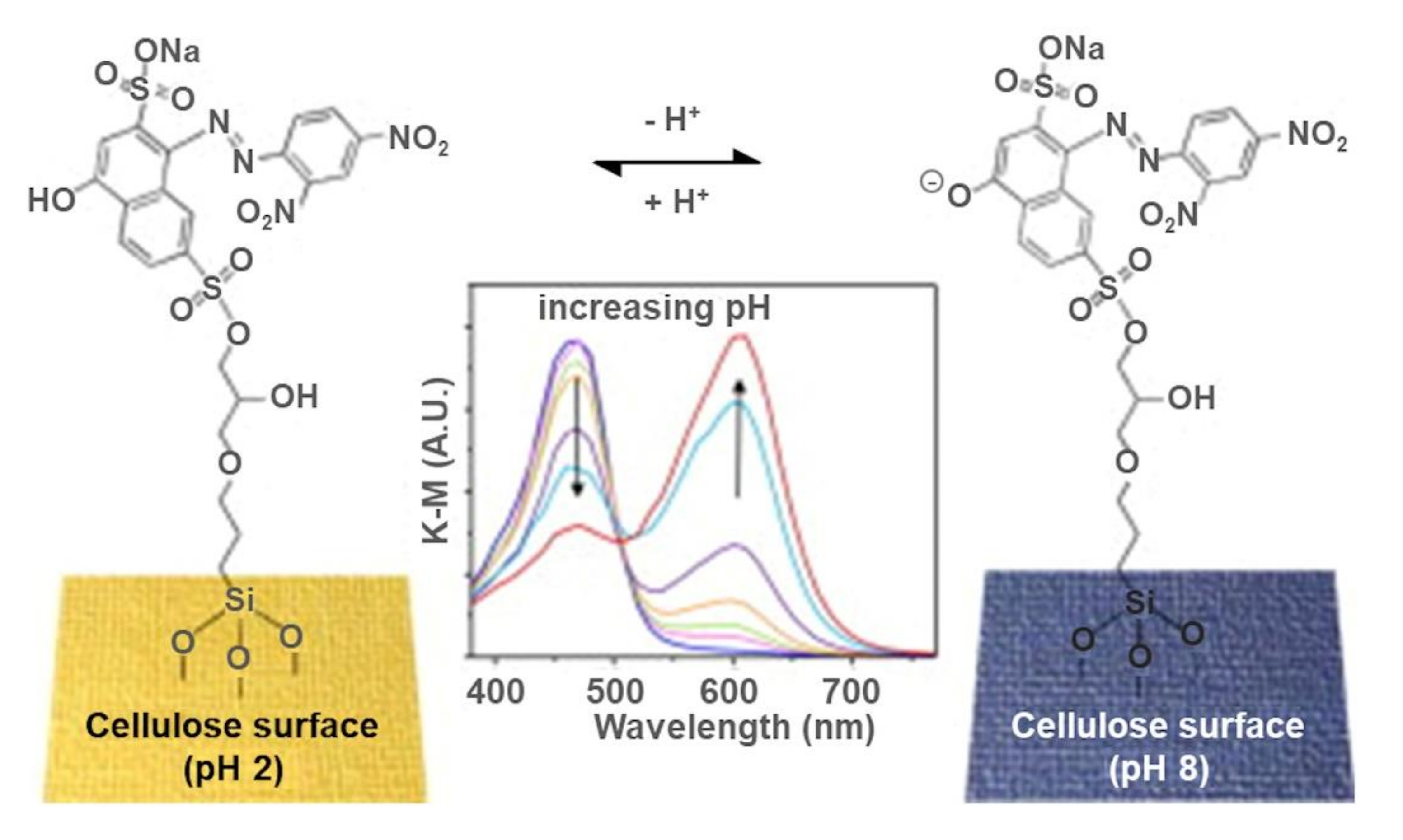 Polymers 13 03433 g003