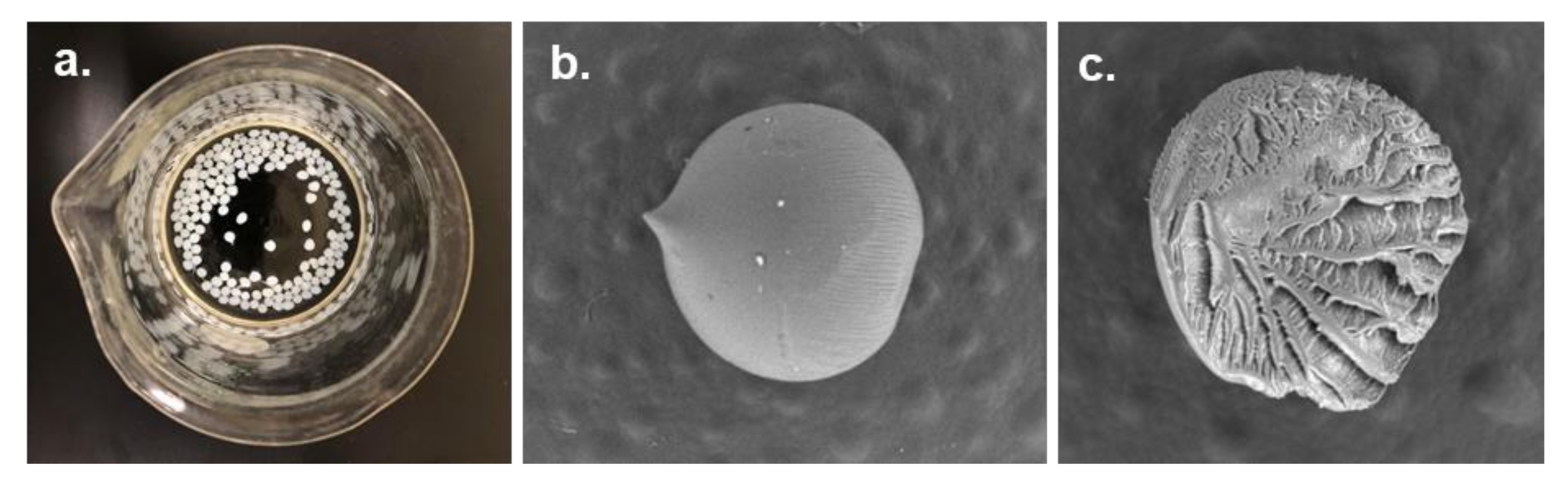 Polymers 13 03433 g006