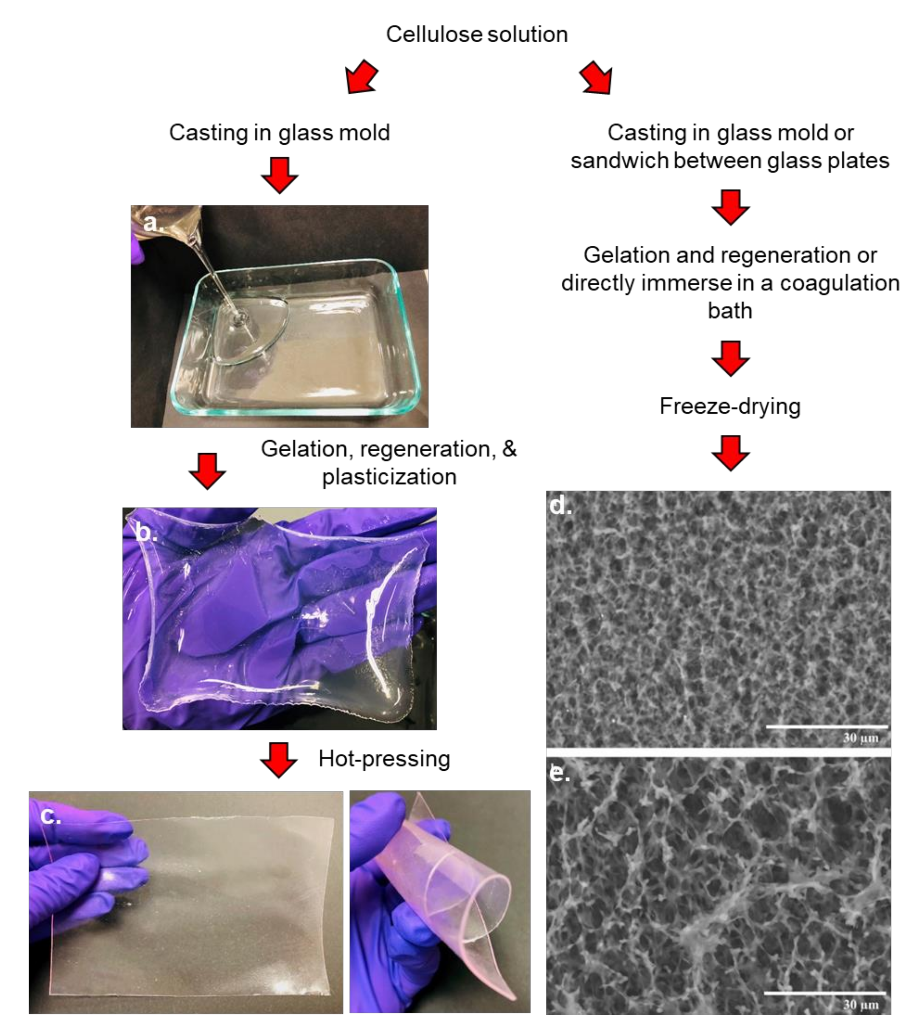 Polymers 13 03433 g007