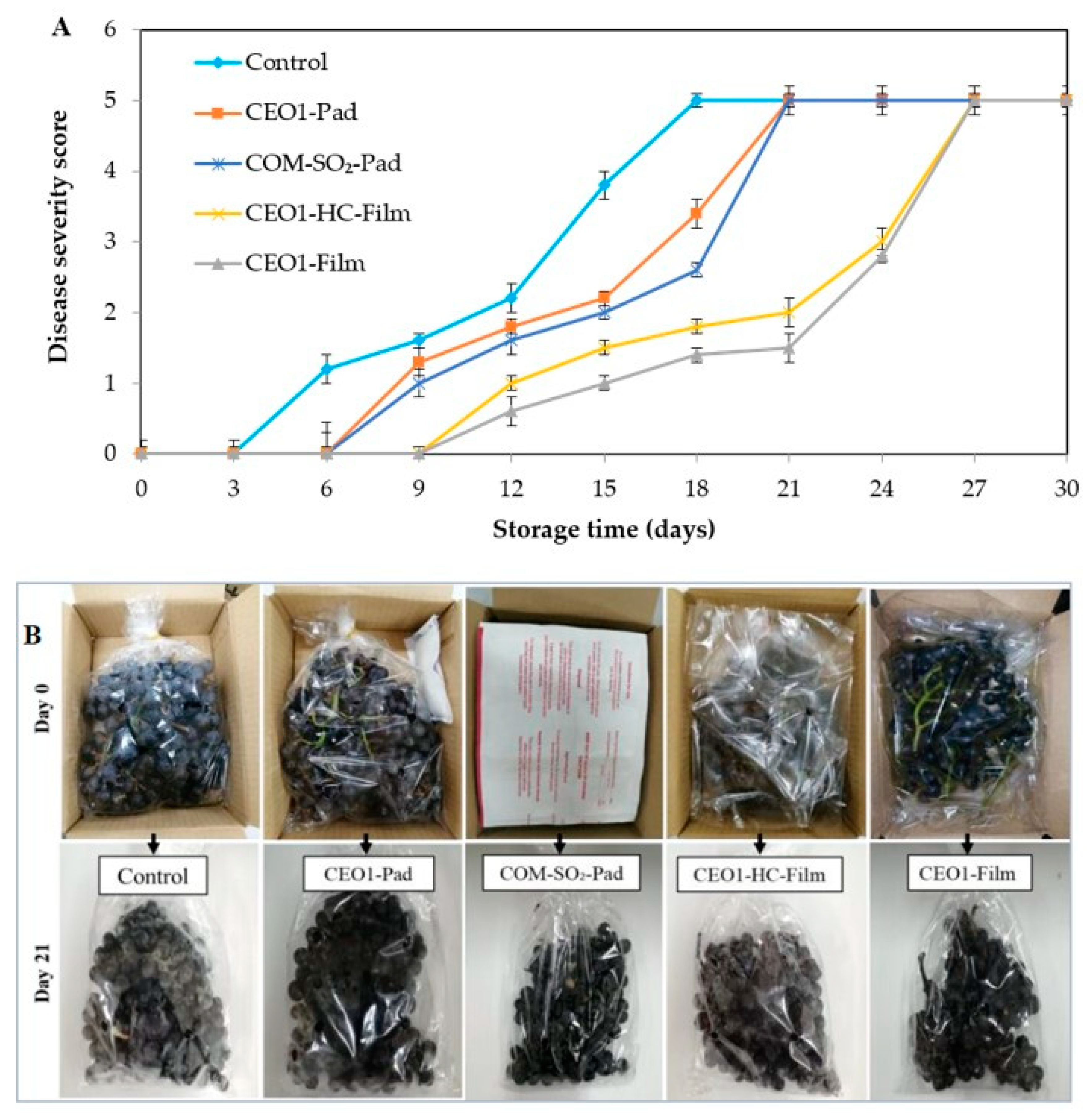 Polymers 13 03445 g002