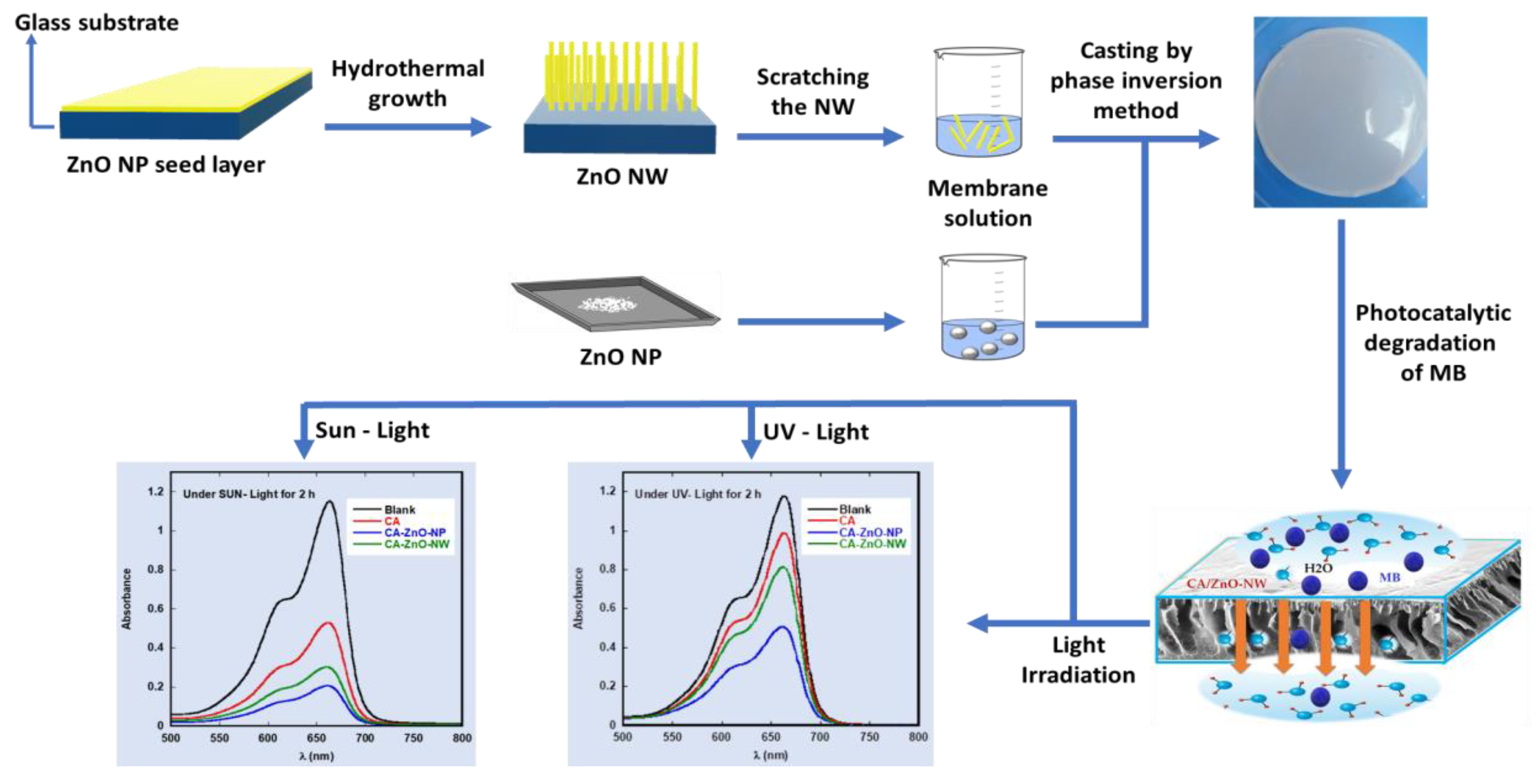 Polymers 13 03451 g001