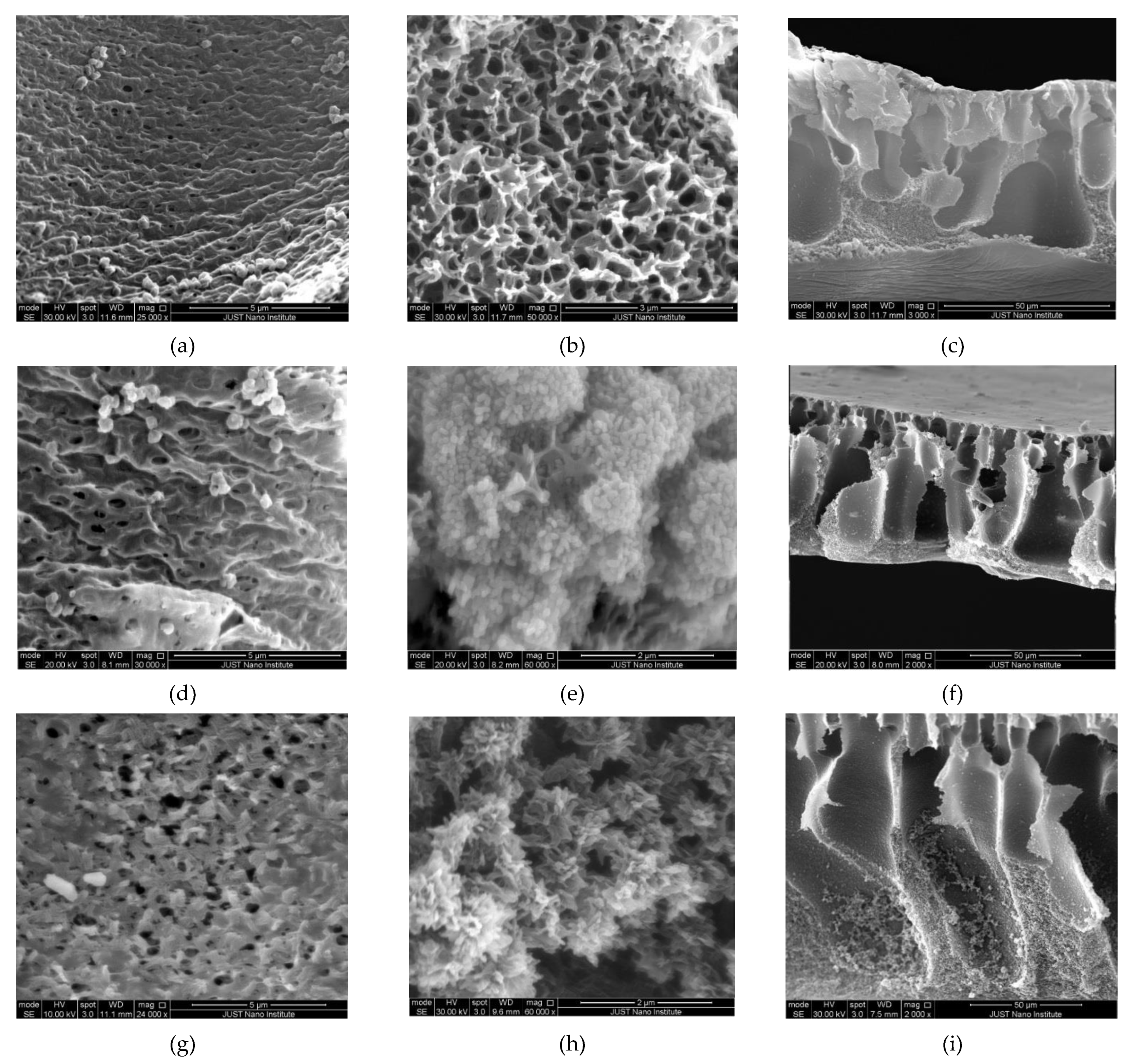 Polymers 13 03451 g003