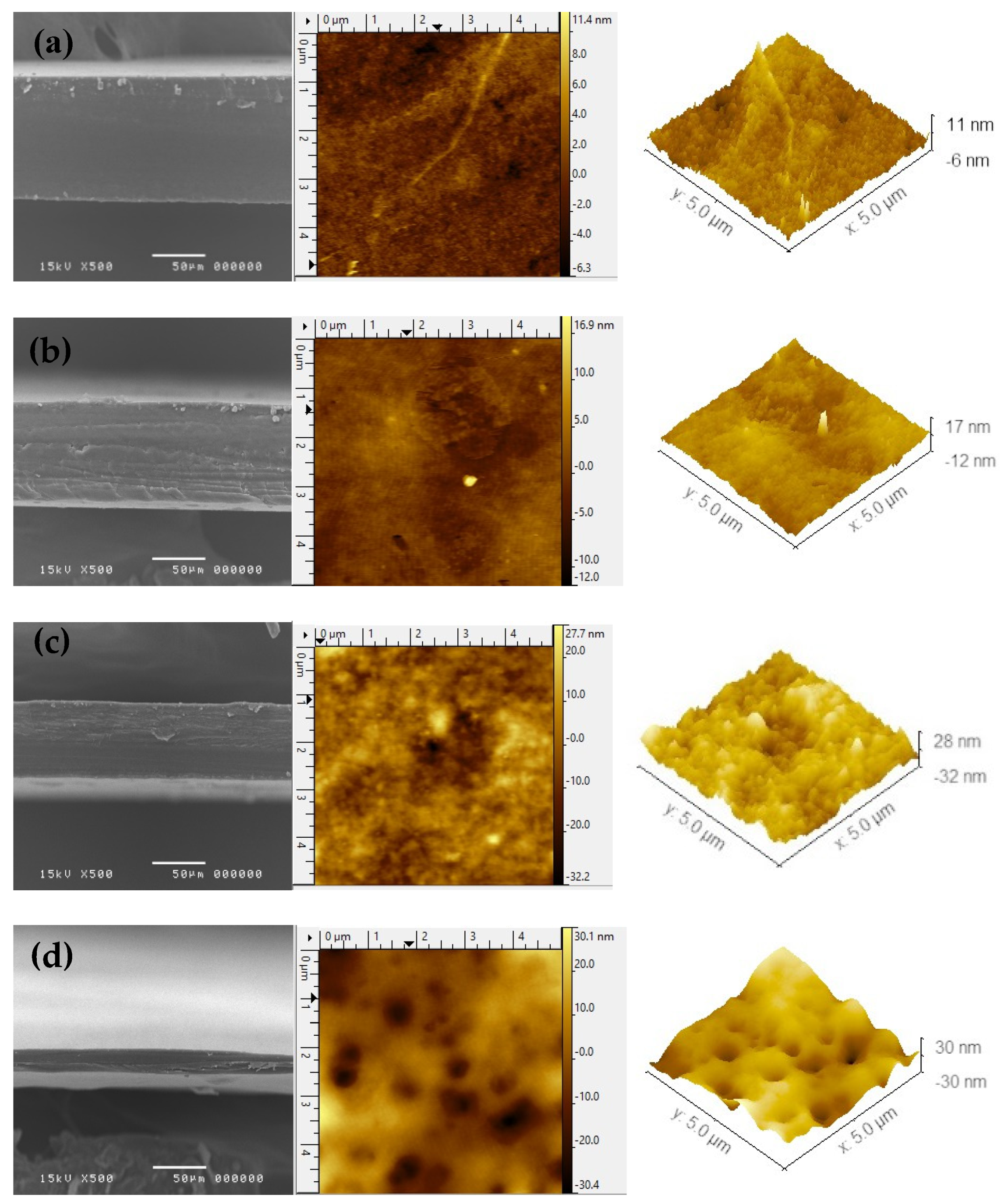 Polymers 13 03454 g003