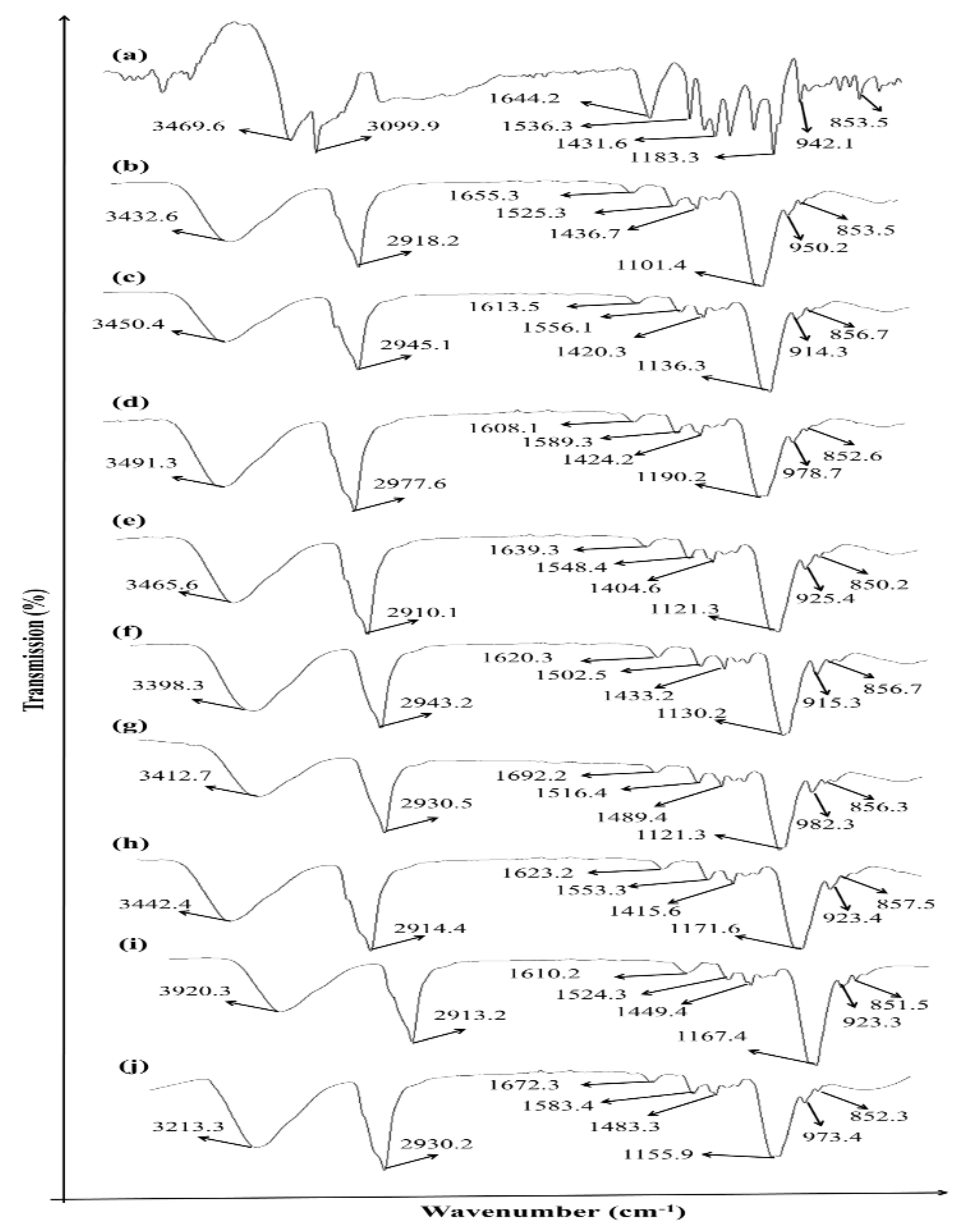 Polymers 13 03455 g001