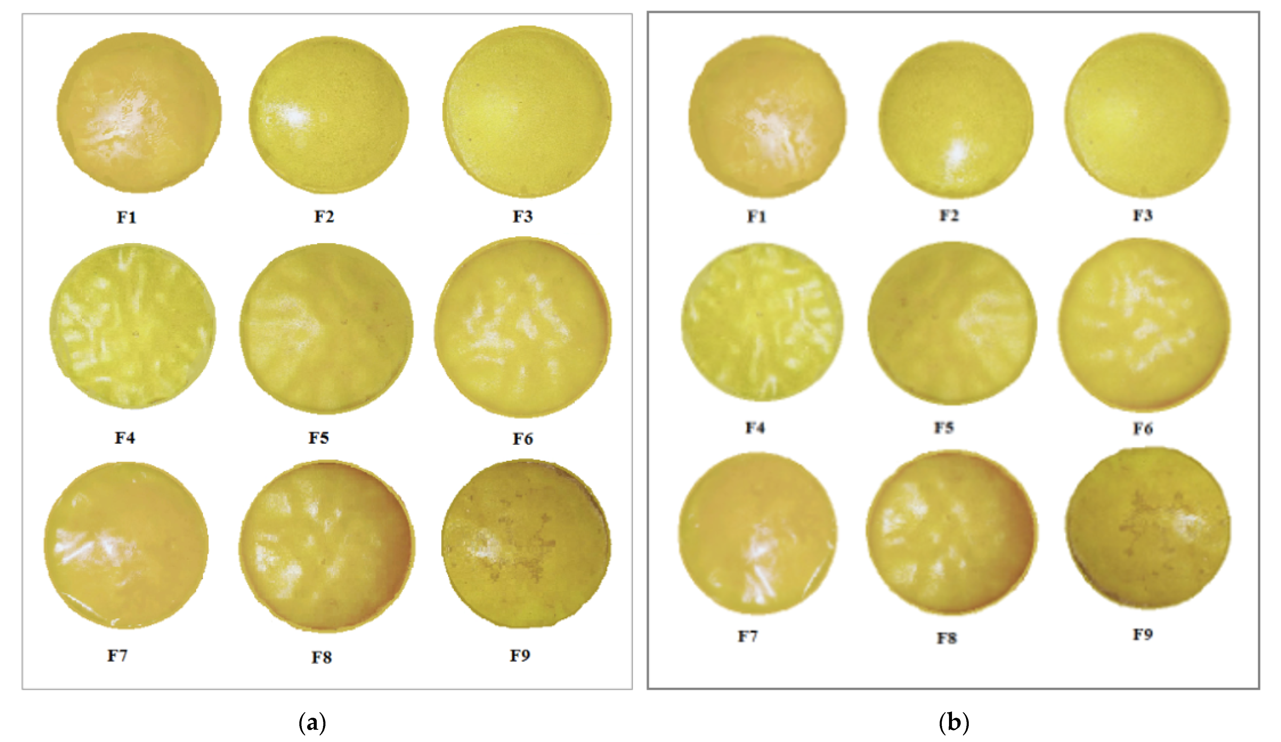 Polymers 13 03455 g002