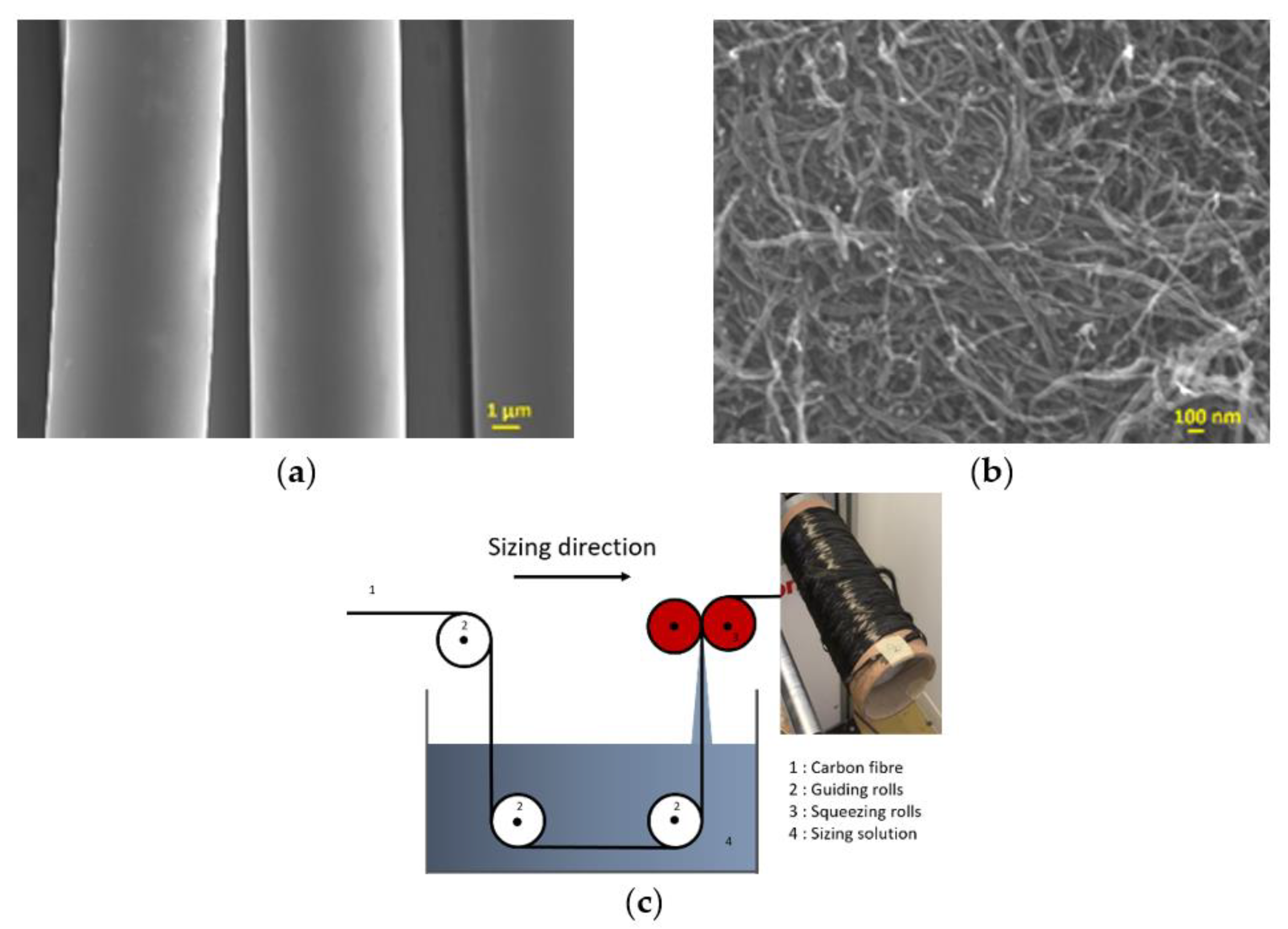 Polymers 13 03457 g001