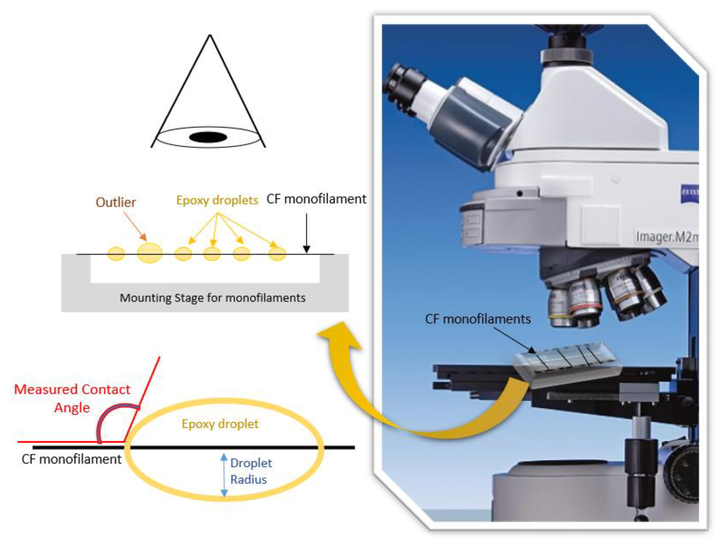 Polymers 13 03457 g002