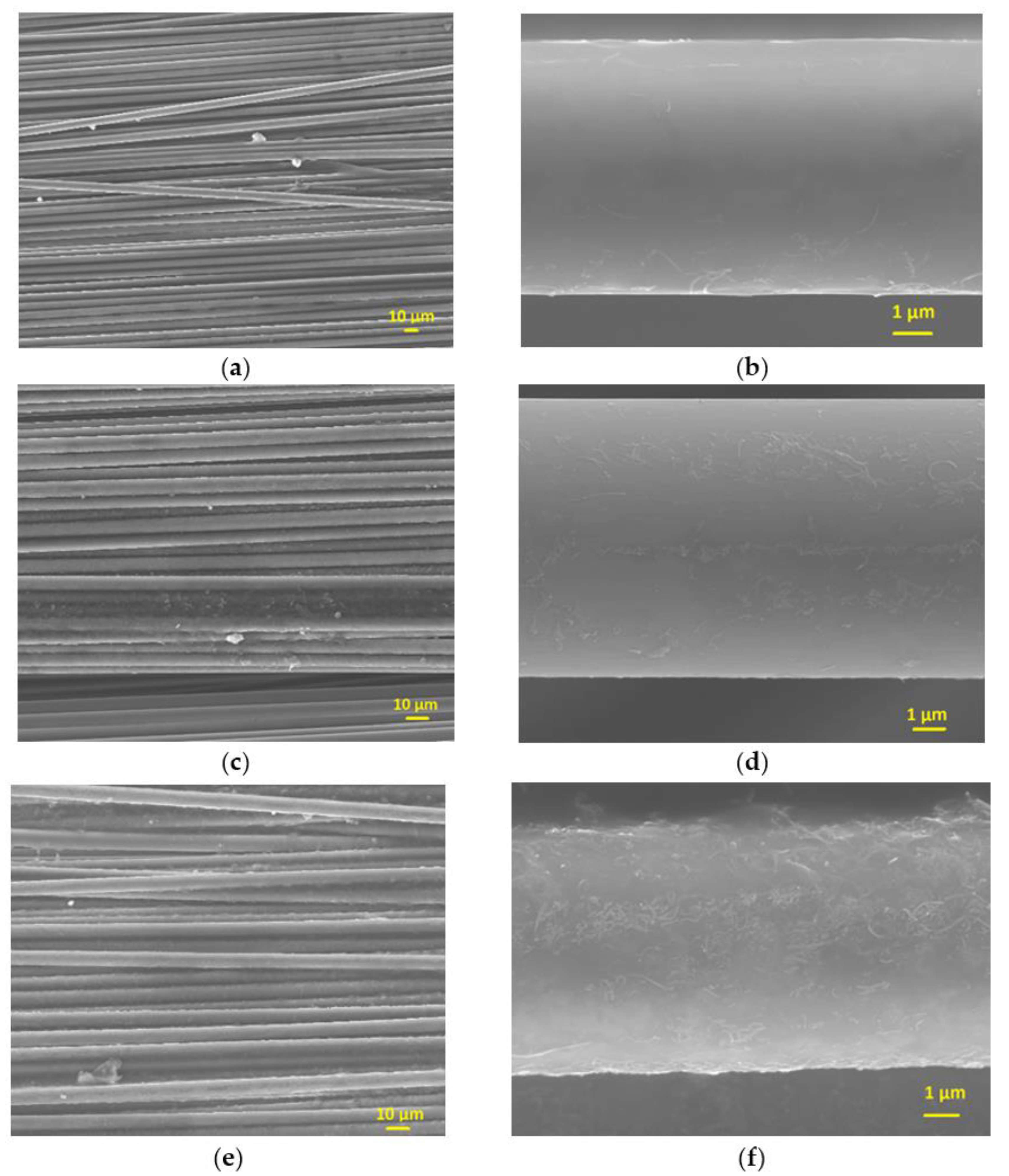 Polymers 13 03457 g004