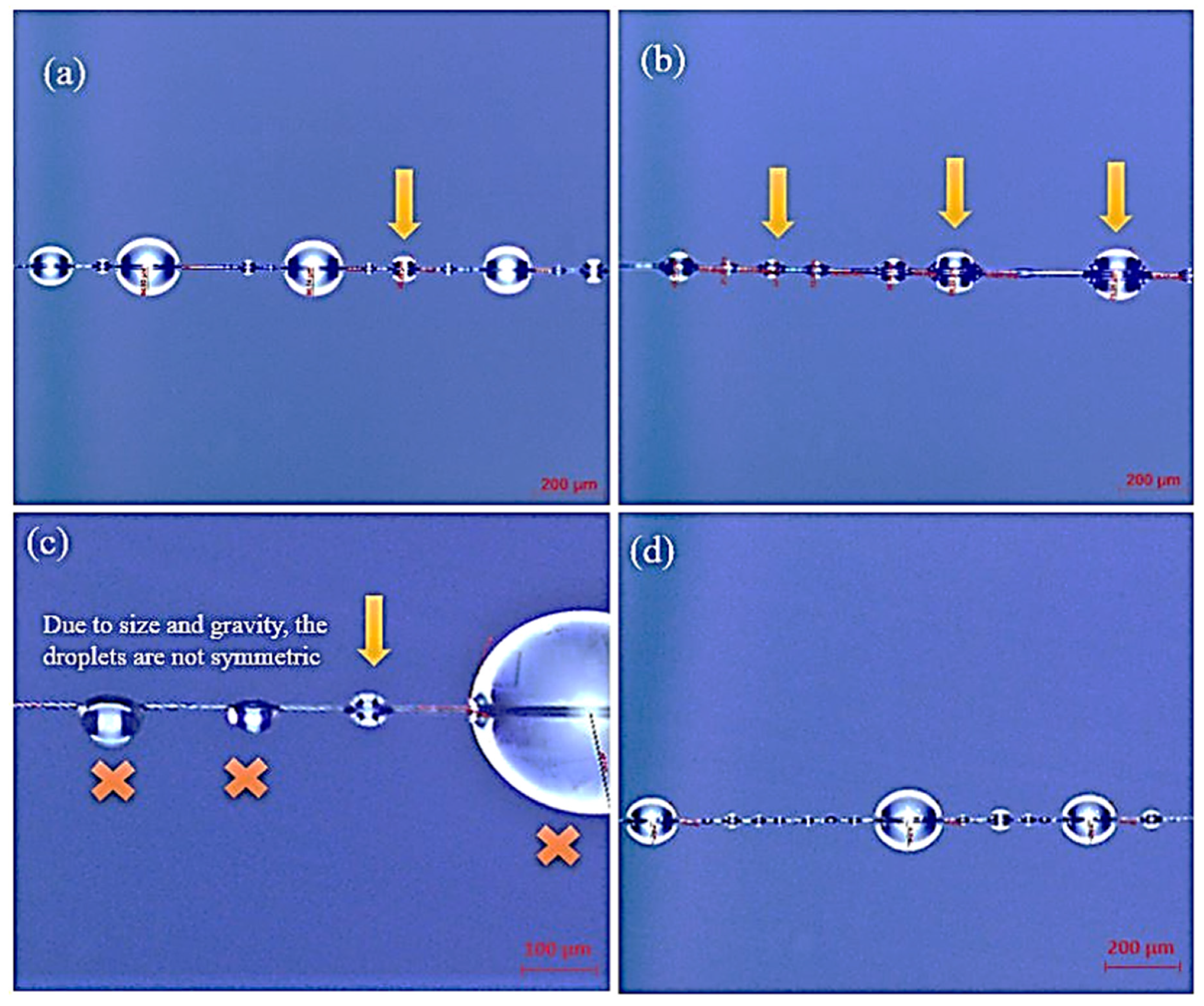 Polymers 13 03457 g007