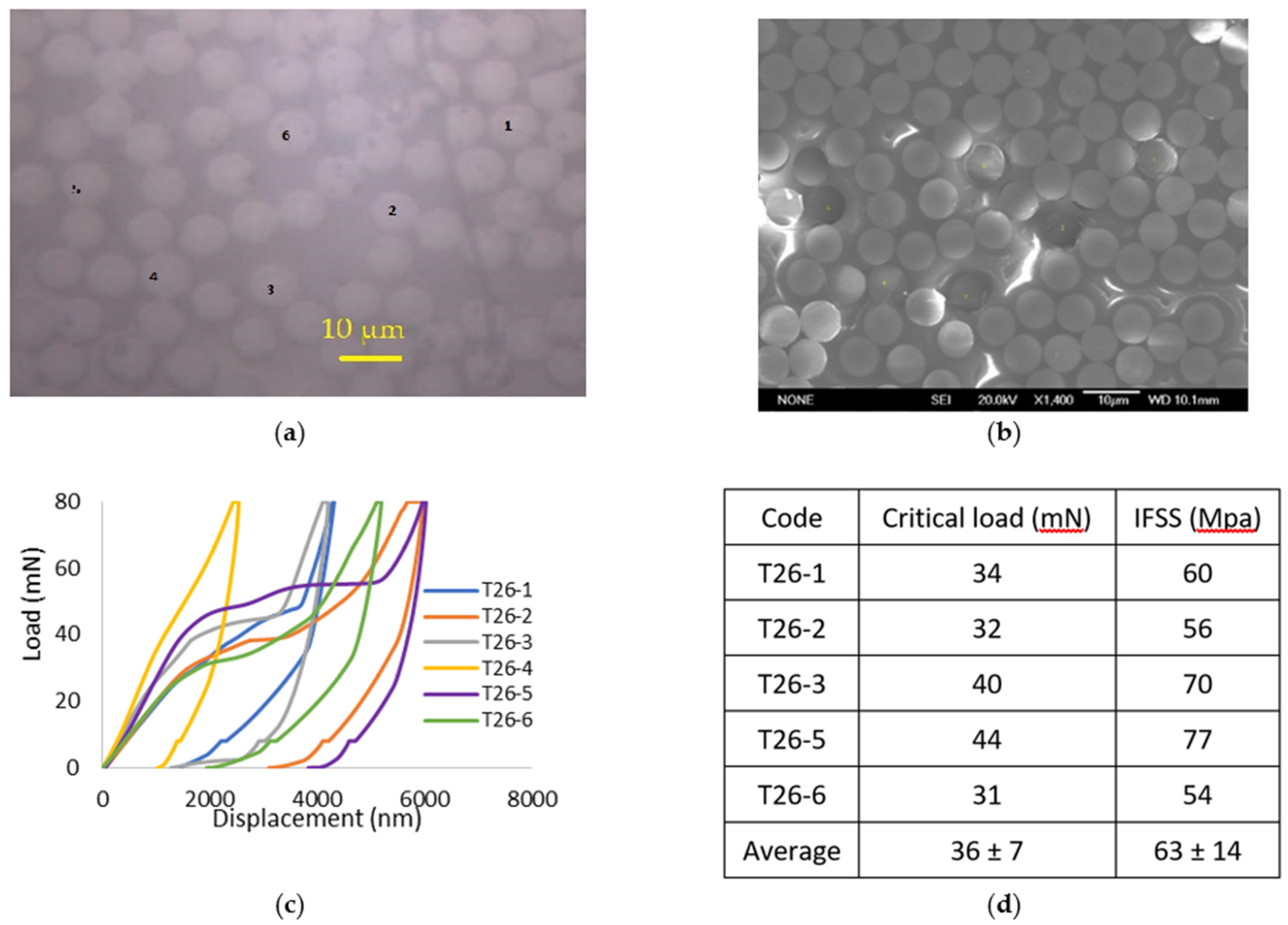 Polymers 13 03457 g009