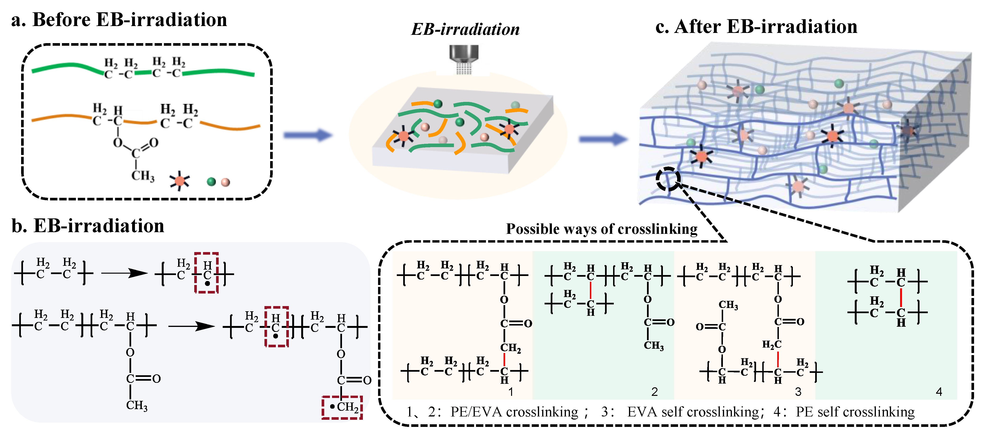 Polymers 13 03460 g003