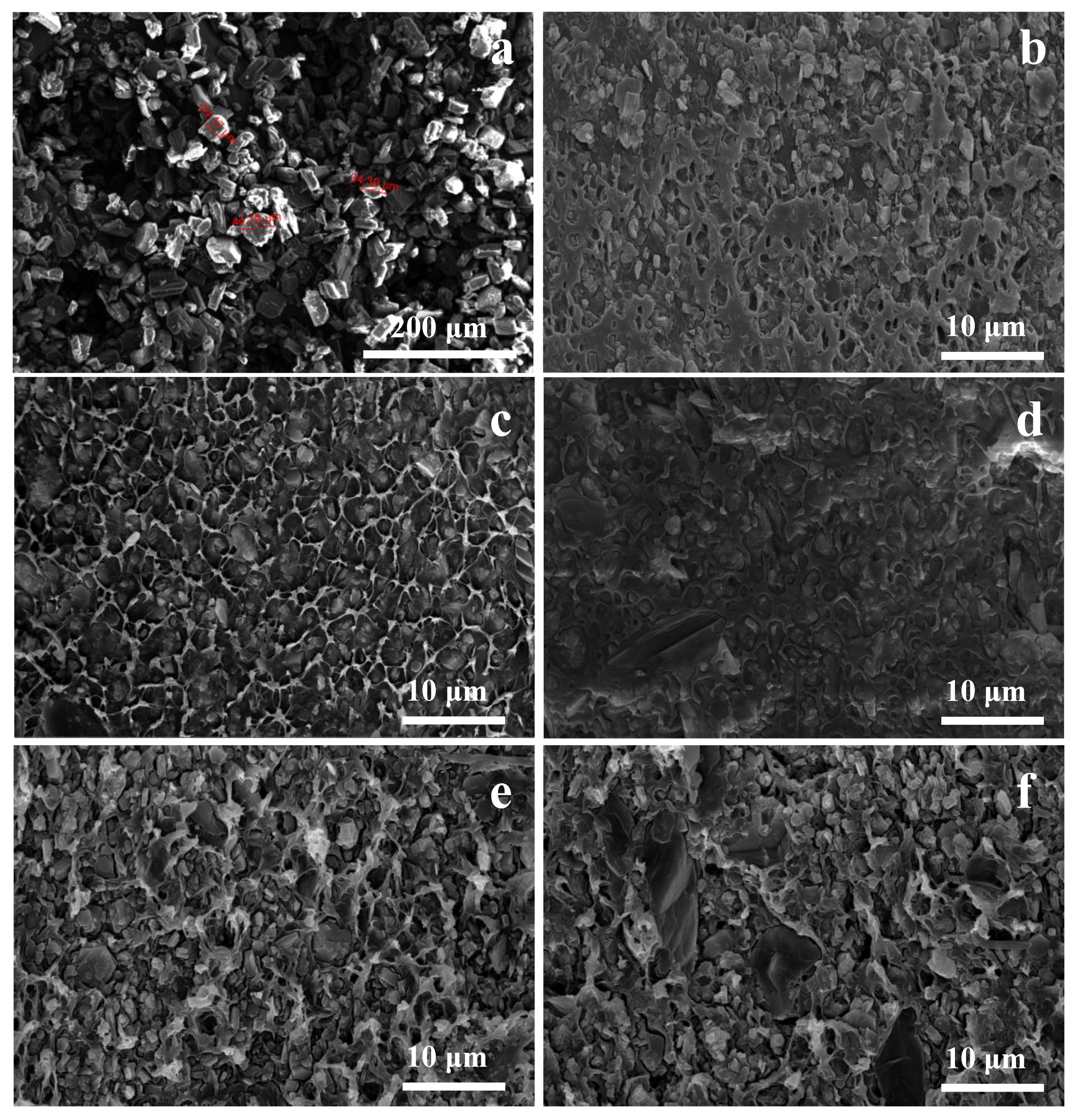 Polymers 13 03460 g004