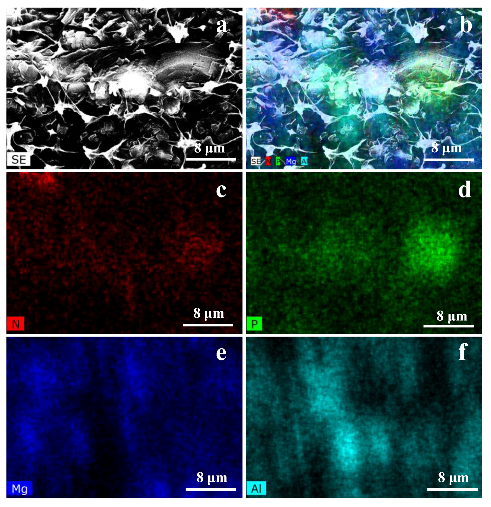 Polymers 13 03460 g005