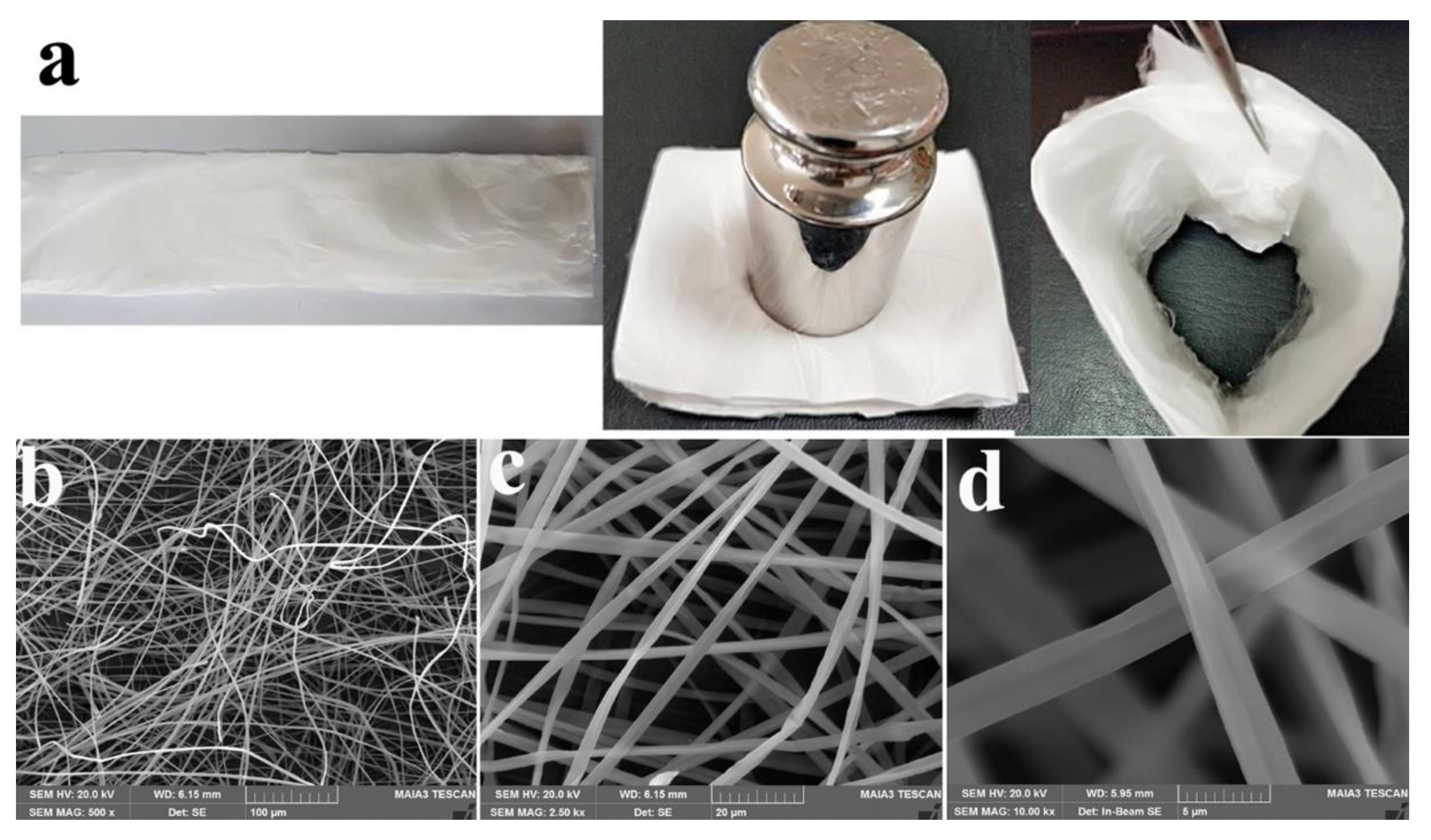 Polymers 13 03463 g009