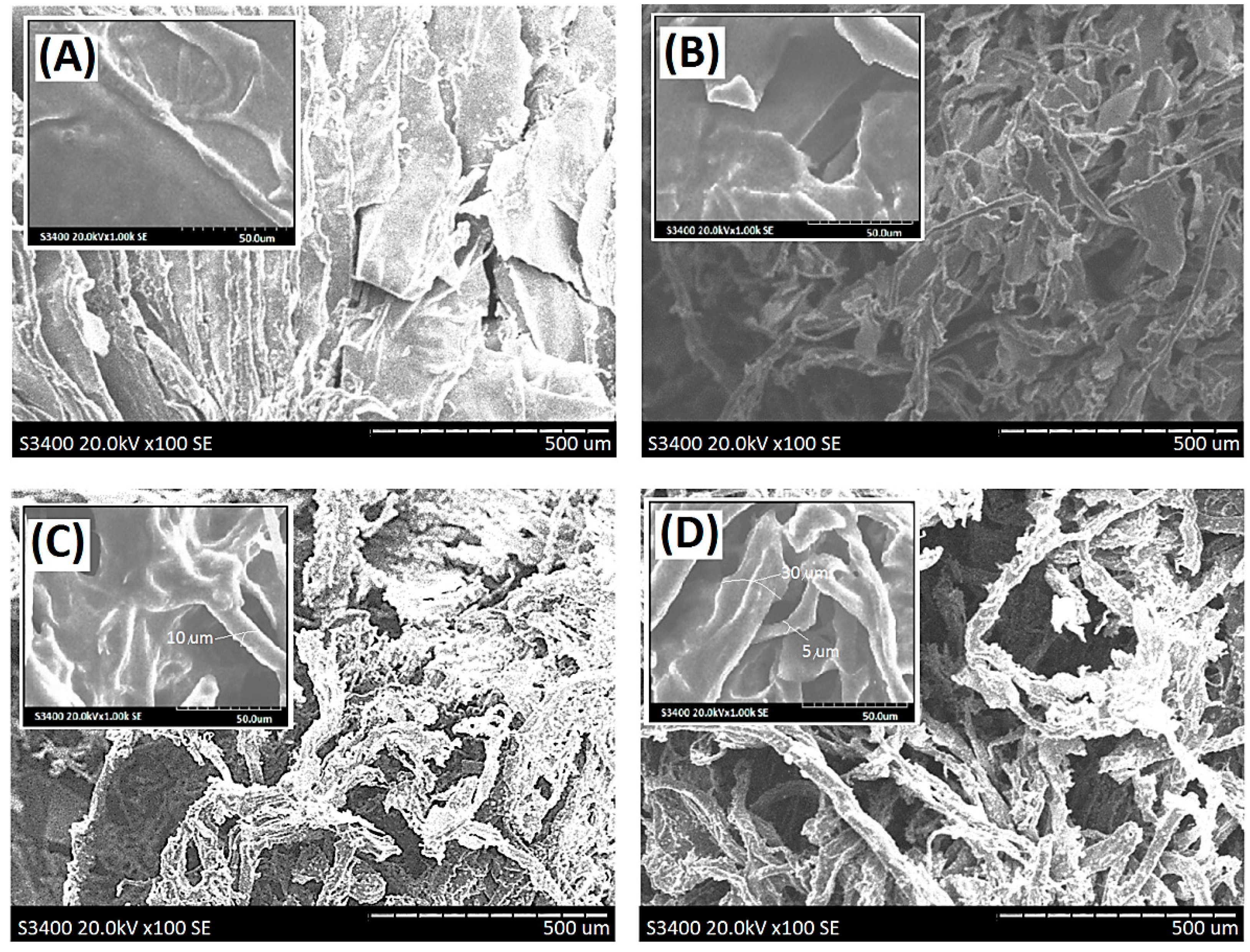 Polymers 13 03464 g004
