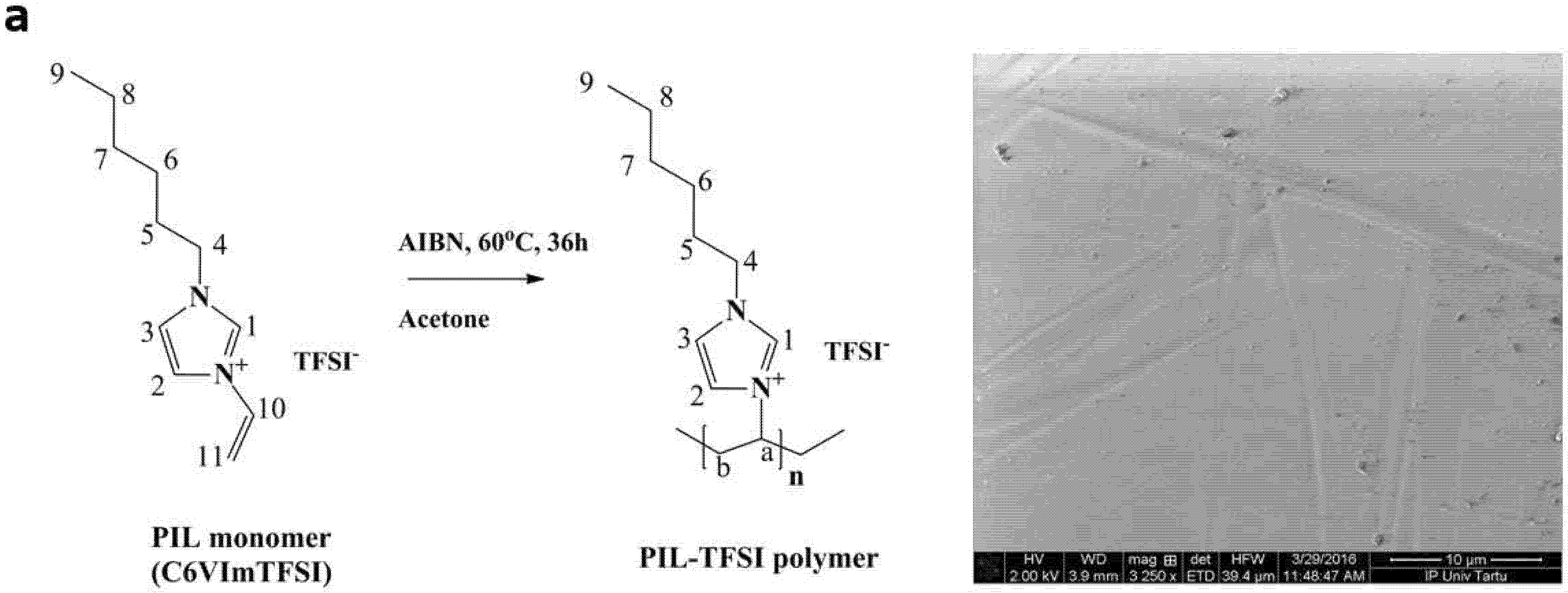 Polymers 13 03466 g001a