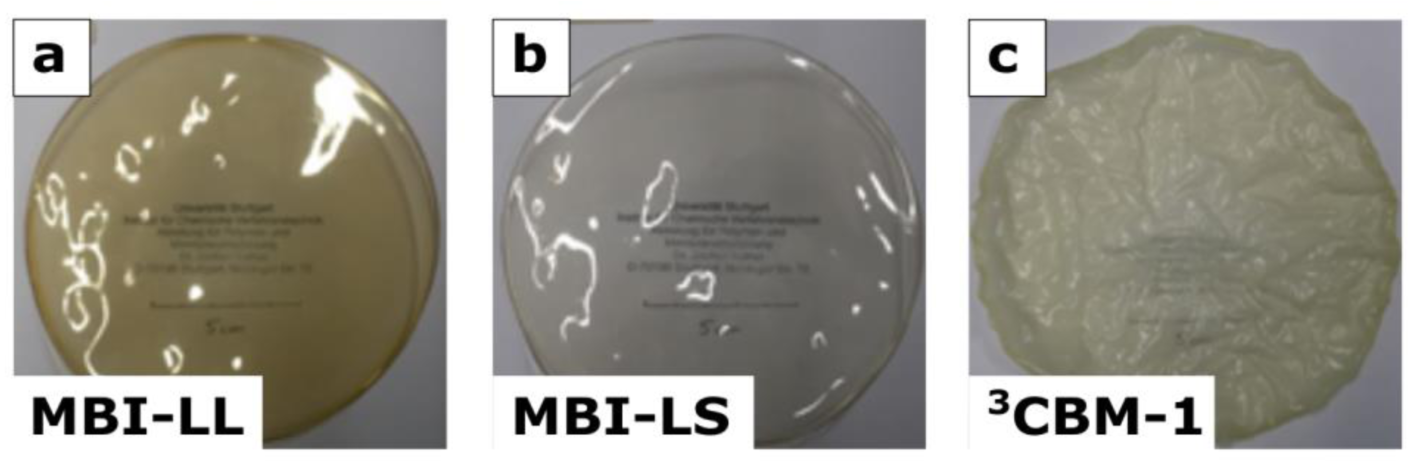 Polymers 13 03467 g006 Polymers 13 03467 g006