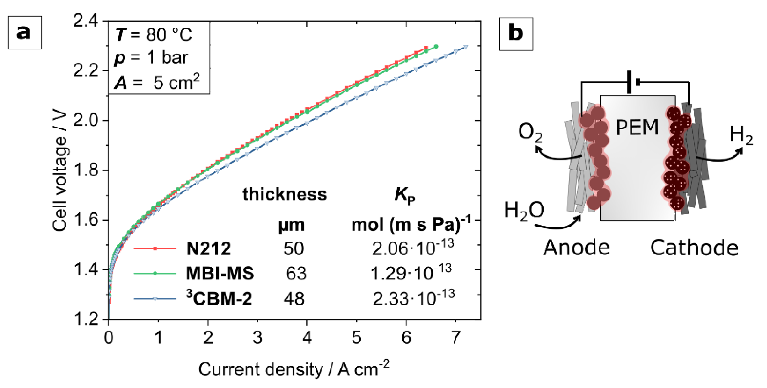 Polymers 13 03467 g011 Polymers 13 03467 g011