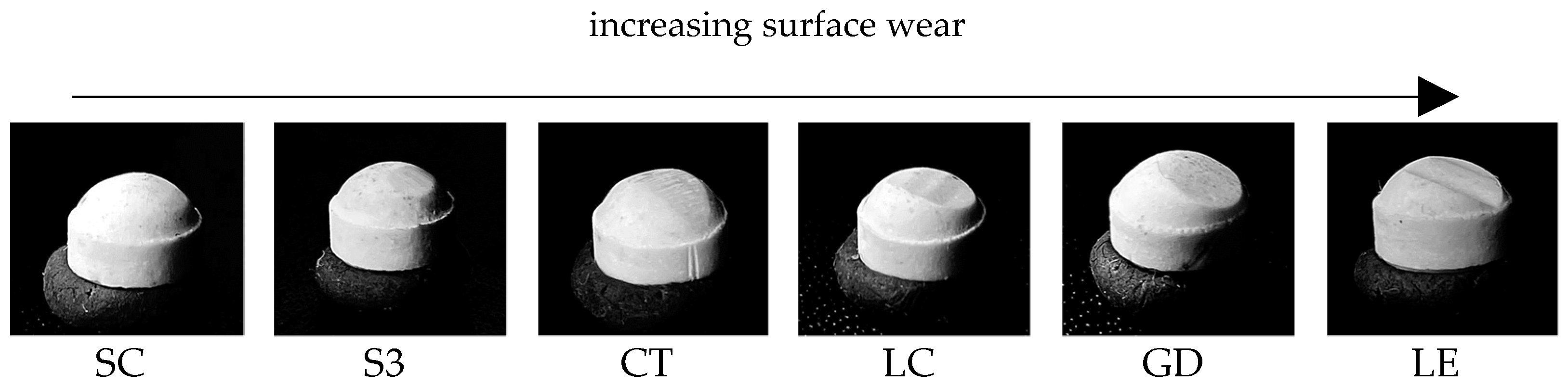 Polymers 13 03469 g004