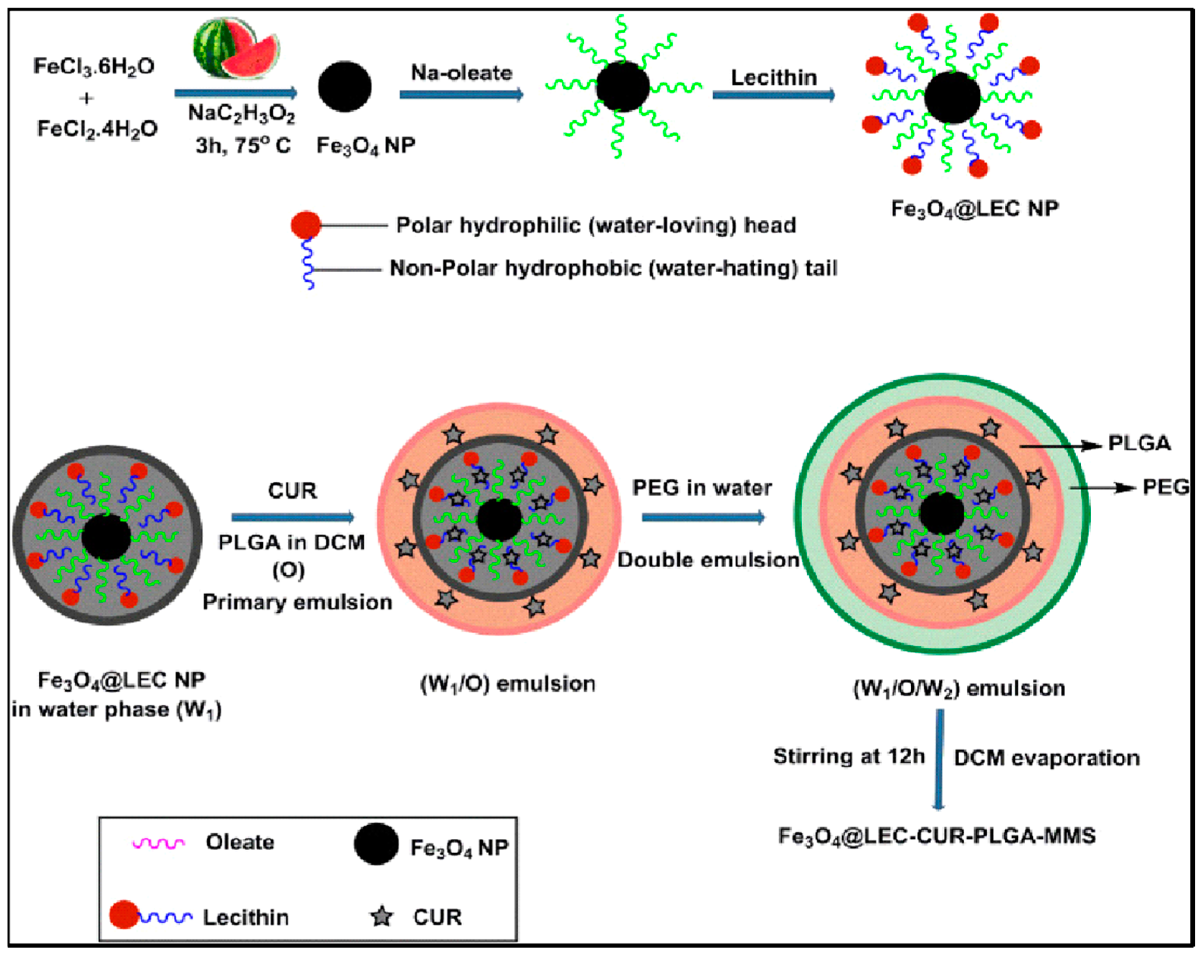 Polymers 13 03471 g003