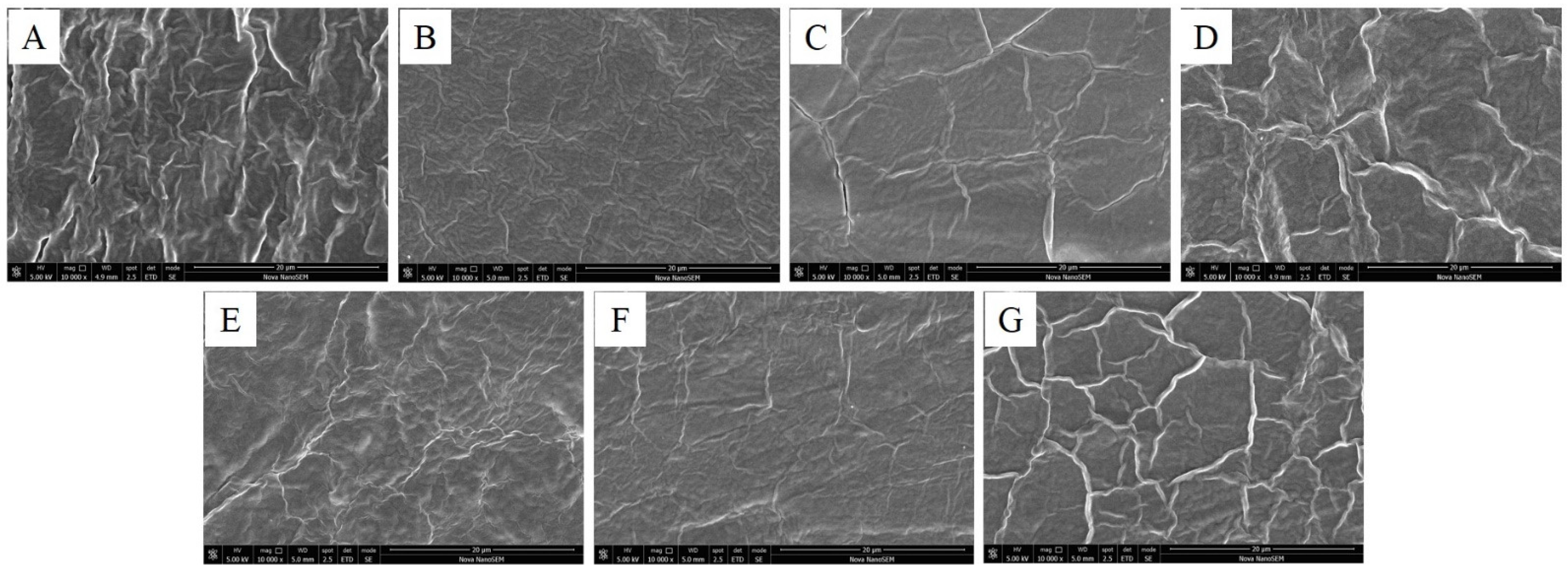 Polymers 13 03472 g002 Polymers 13 03472 g002