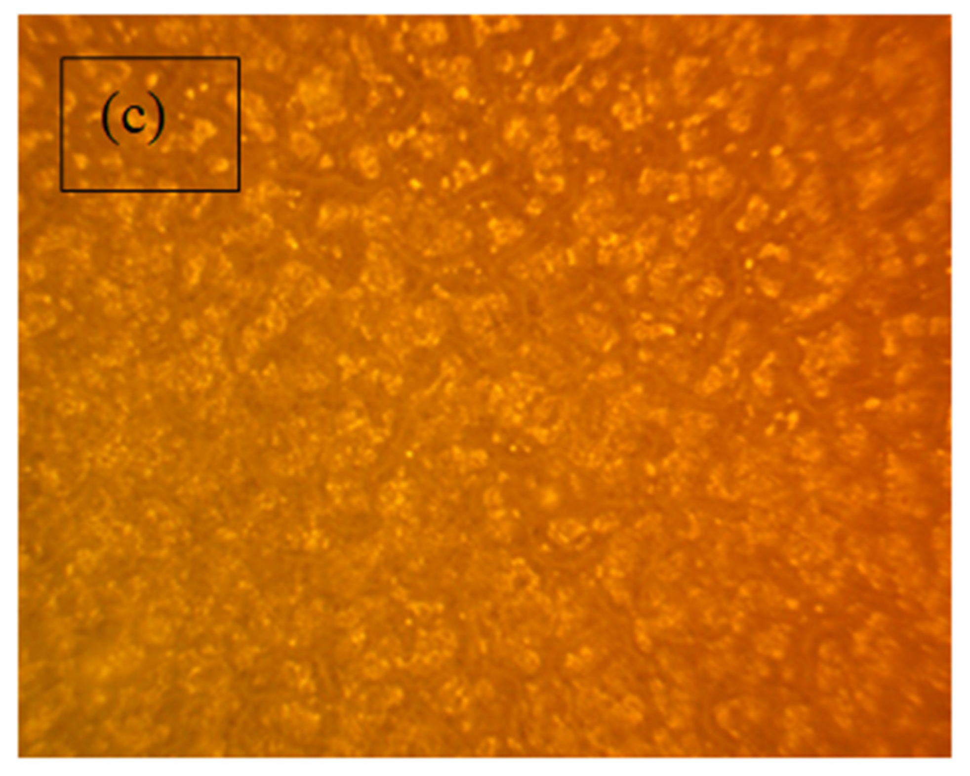 Polymers 13 03484 g014b