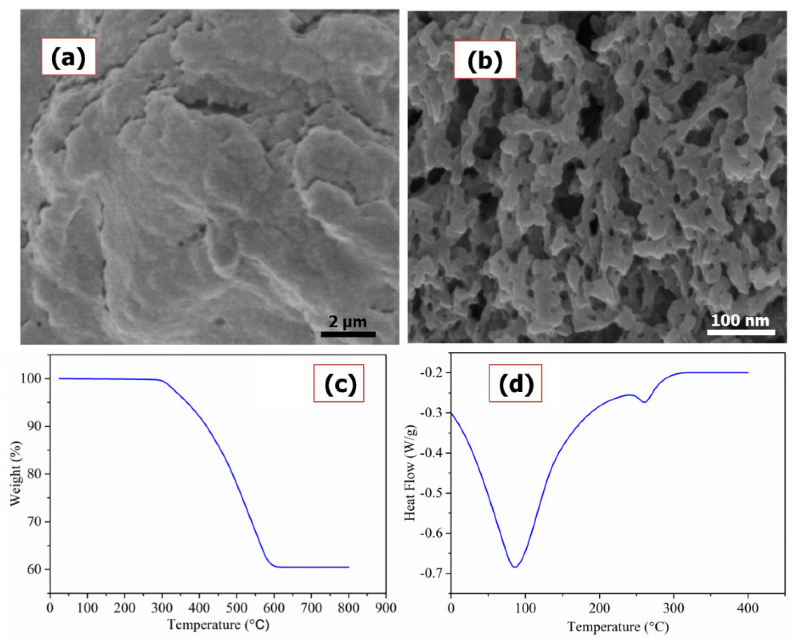 Polymers 13 03490 g001