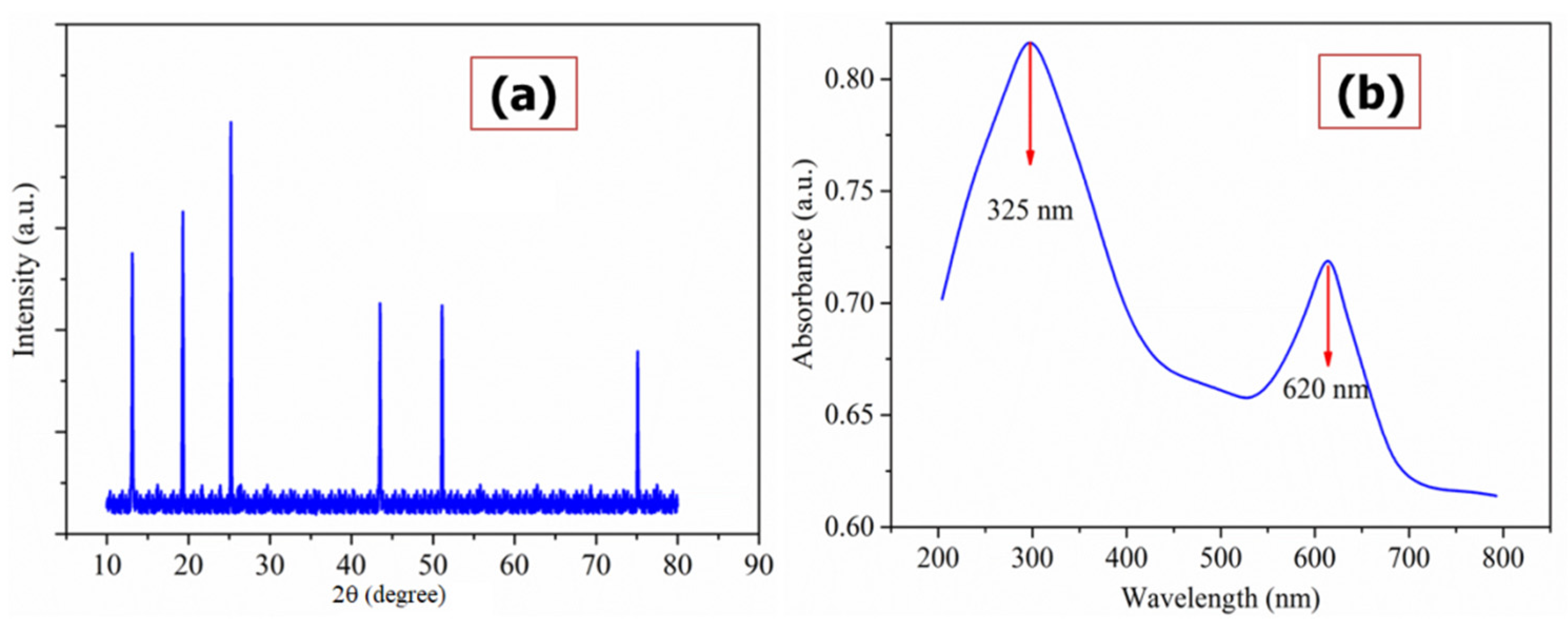 Polymers 13 03490 g002