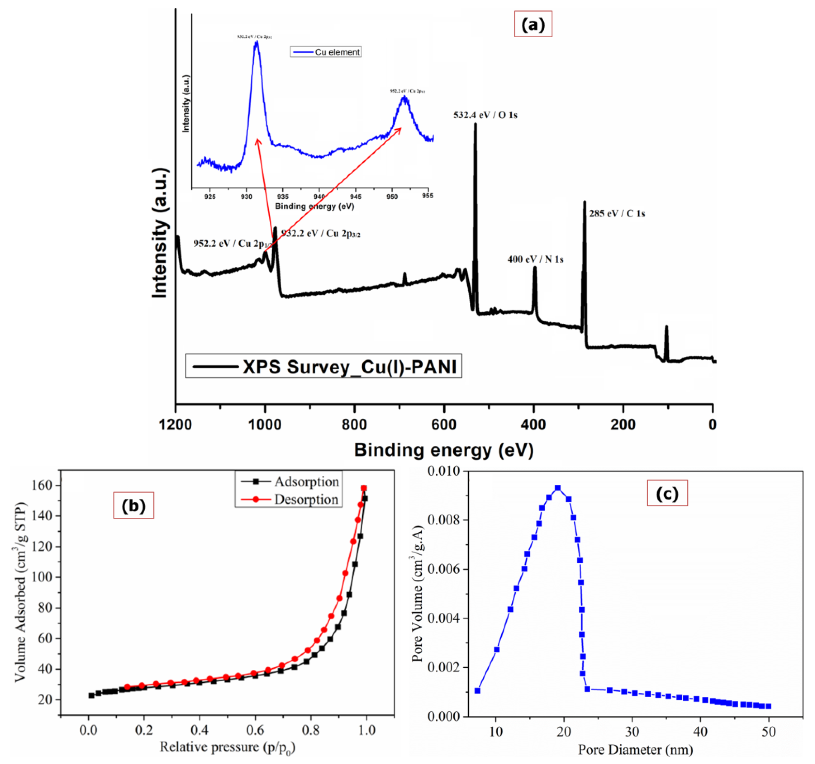 Polymers 13 03490 g003