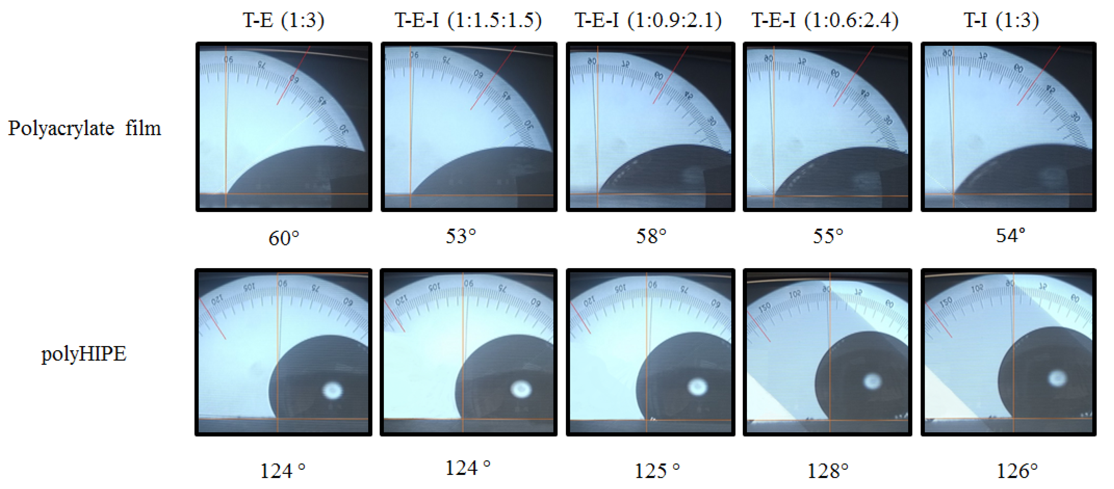 Polymers 13 03497 g008