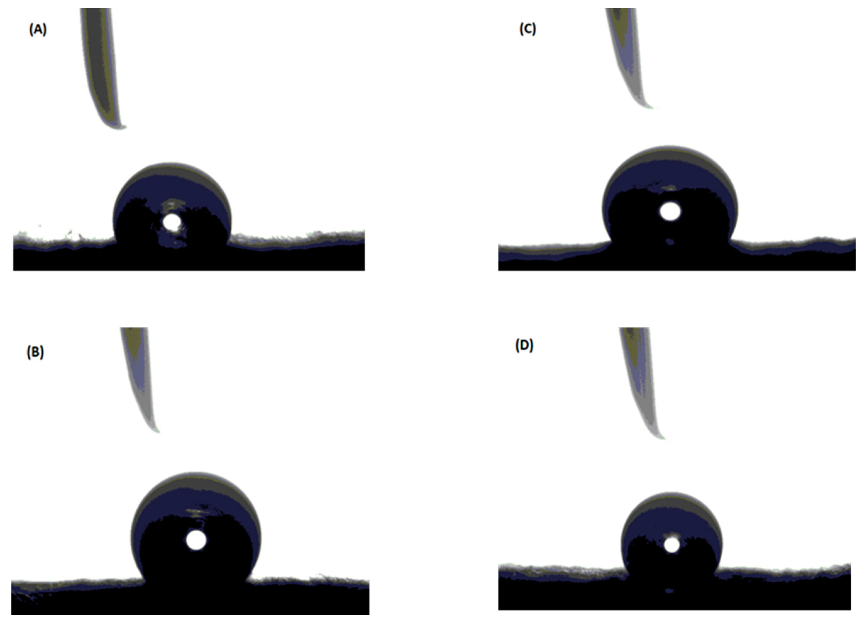 Polymers 13 03499 g004