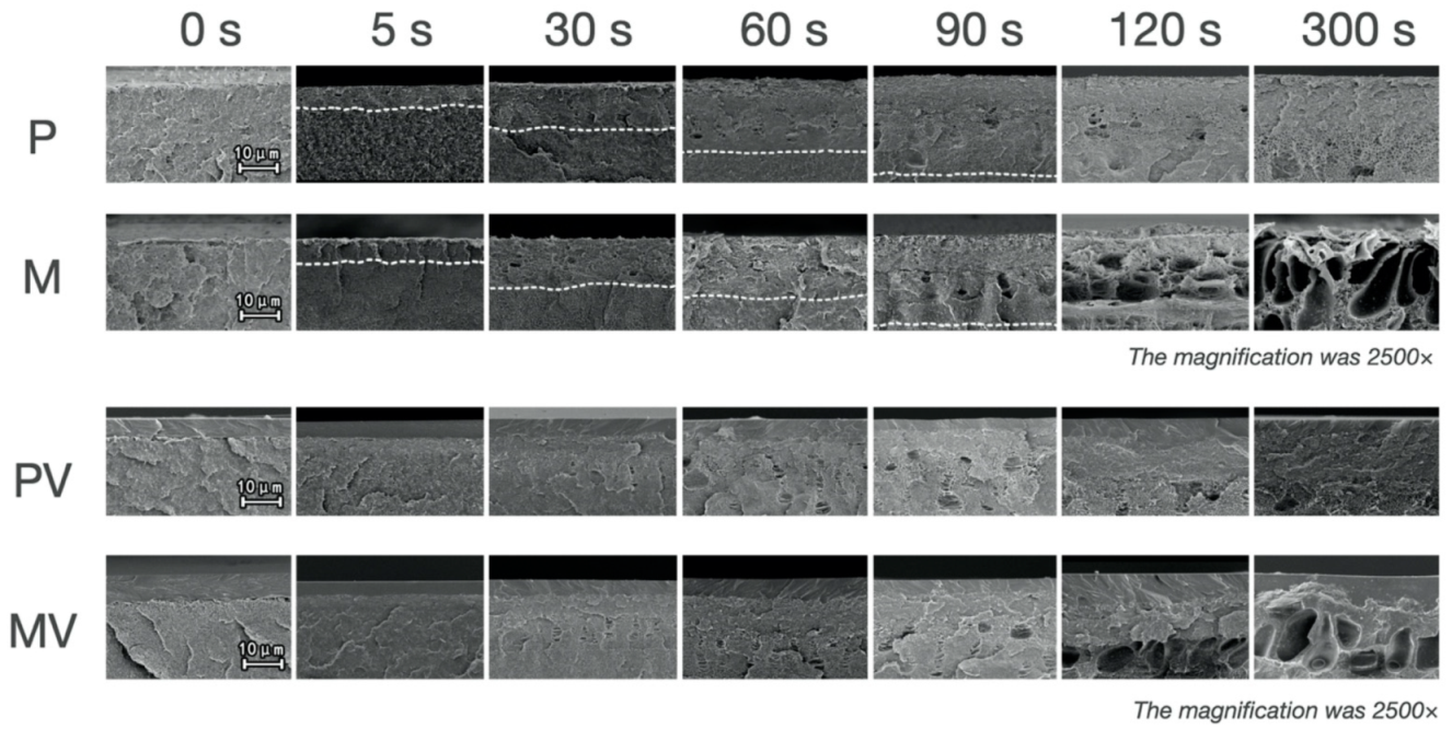Polymers 13 03509 g004